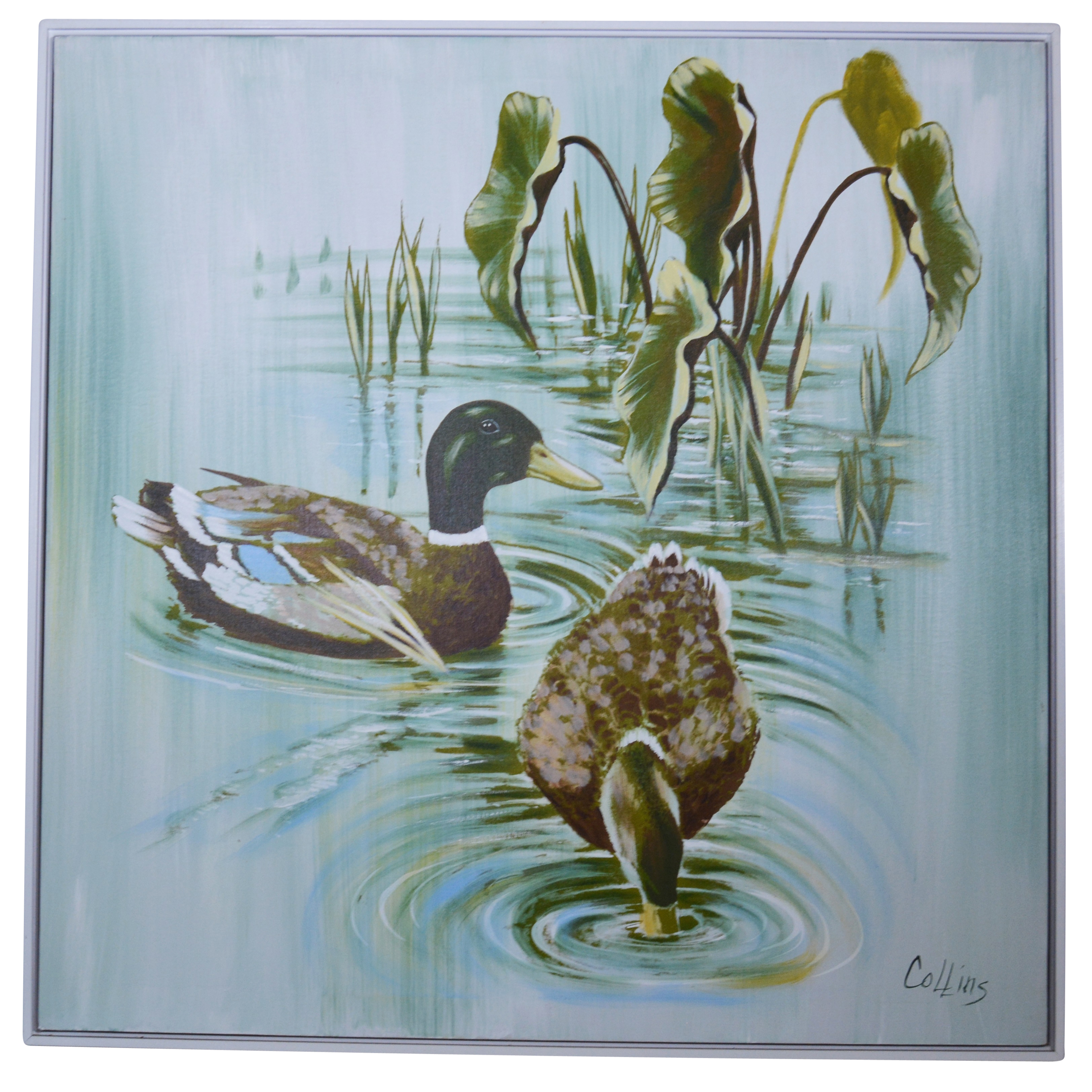 Collins Giclee of Mallard Ducks