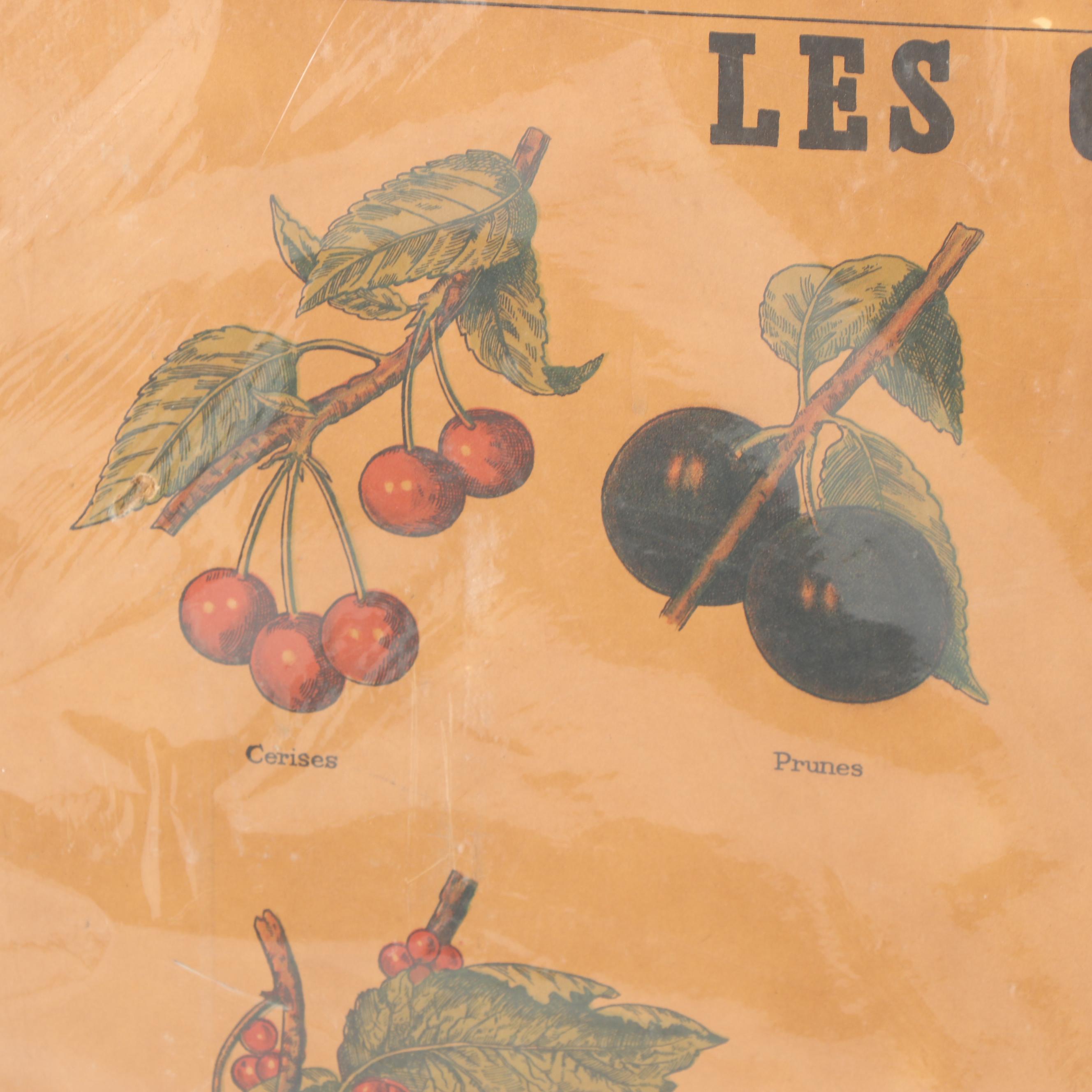 Emile Deyrolle Color Lithograph "Les Confitures"