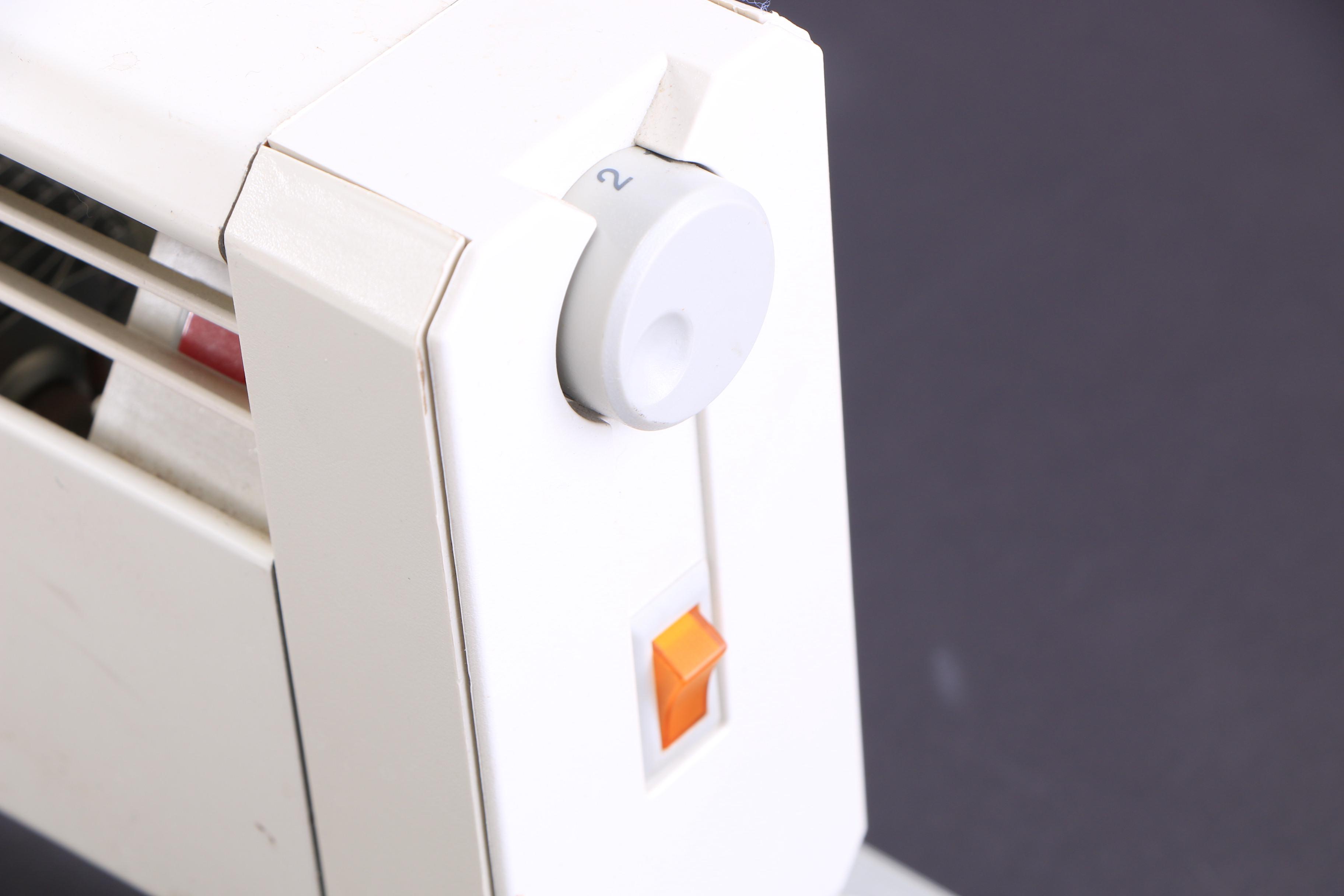 Fahrenheat LFP6152E Portable Electric Baseboard Heater