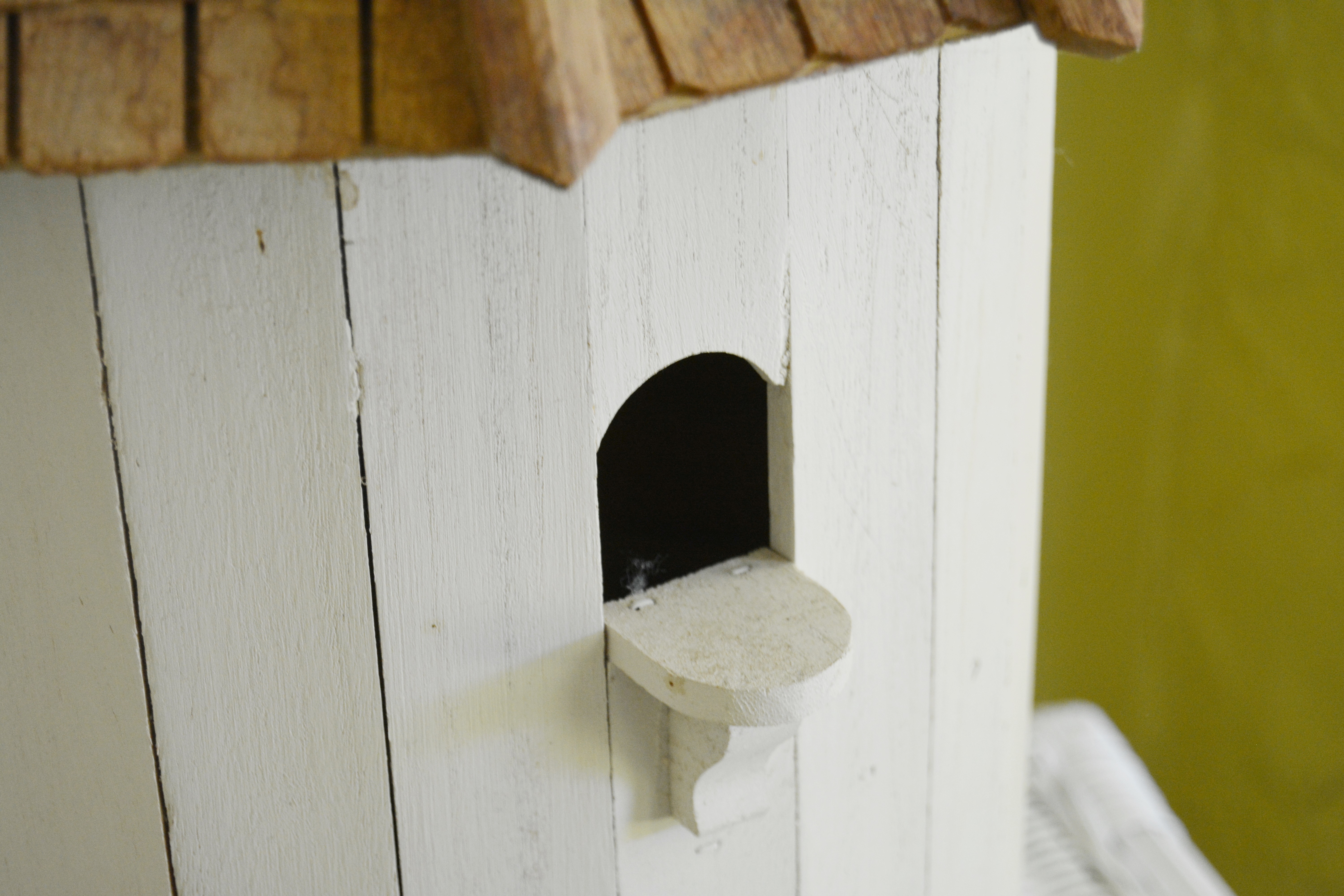 The Biltmore Collection Eucalyptus Wood Bird House