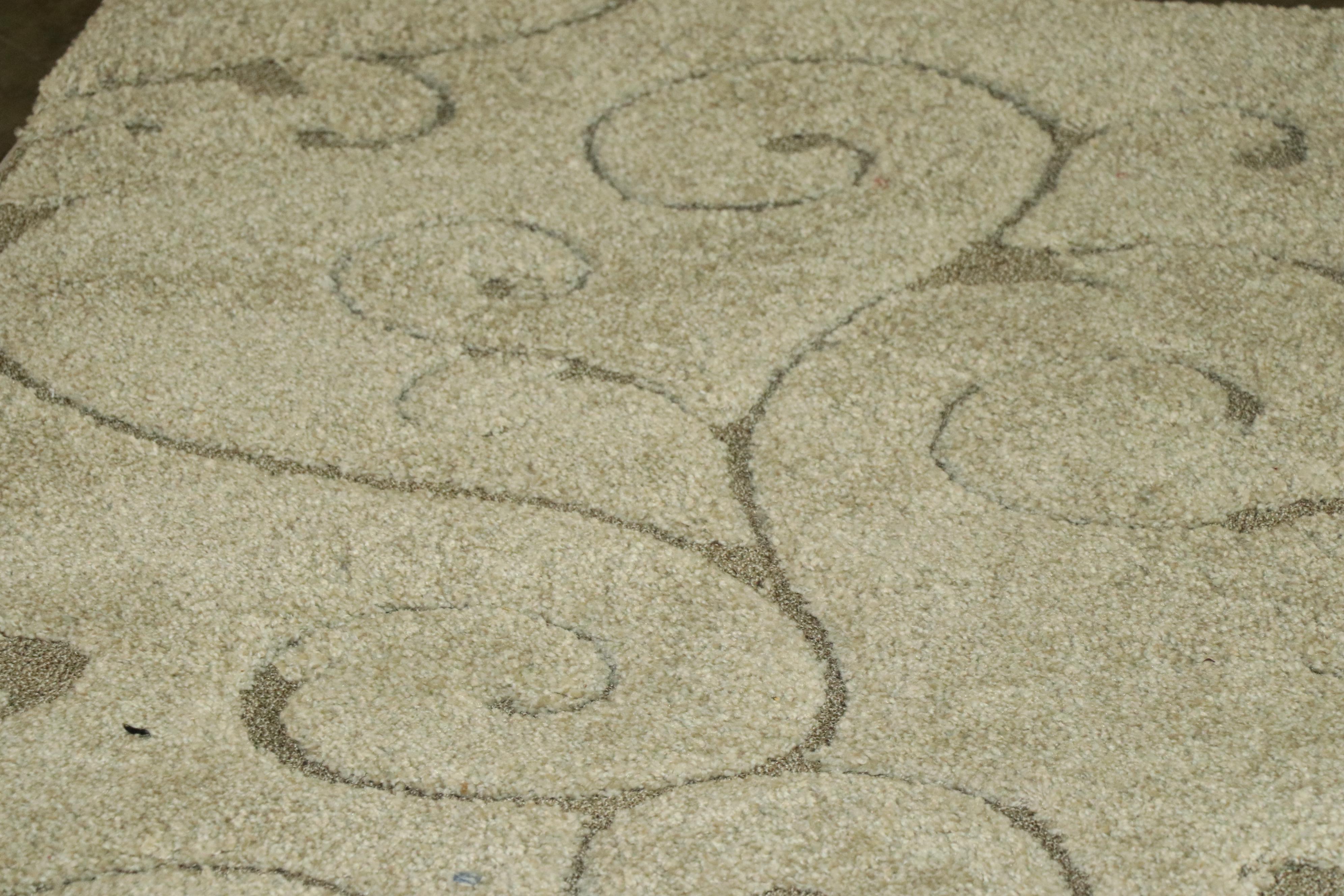 Power-Loomed Safavieh "Florida Shag" Room Sized Rug