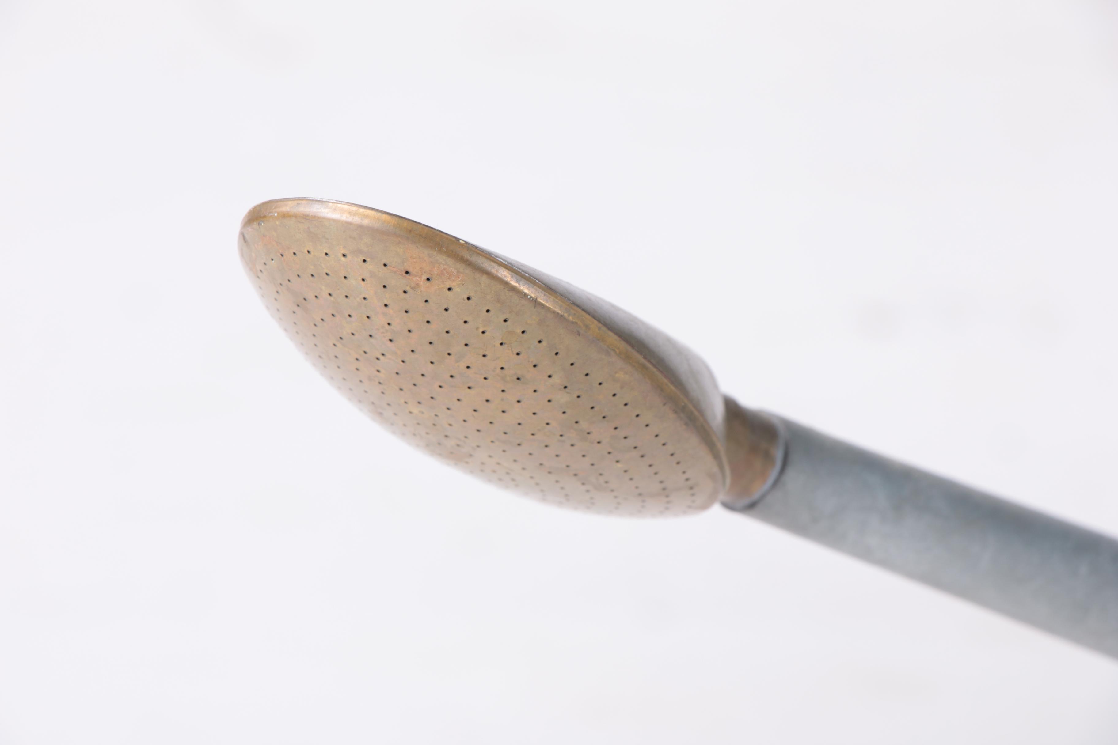 English Galvanized Tin and Brass Long Spout Watering Can by Haws EBTH