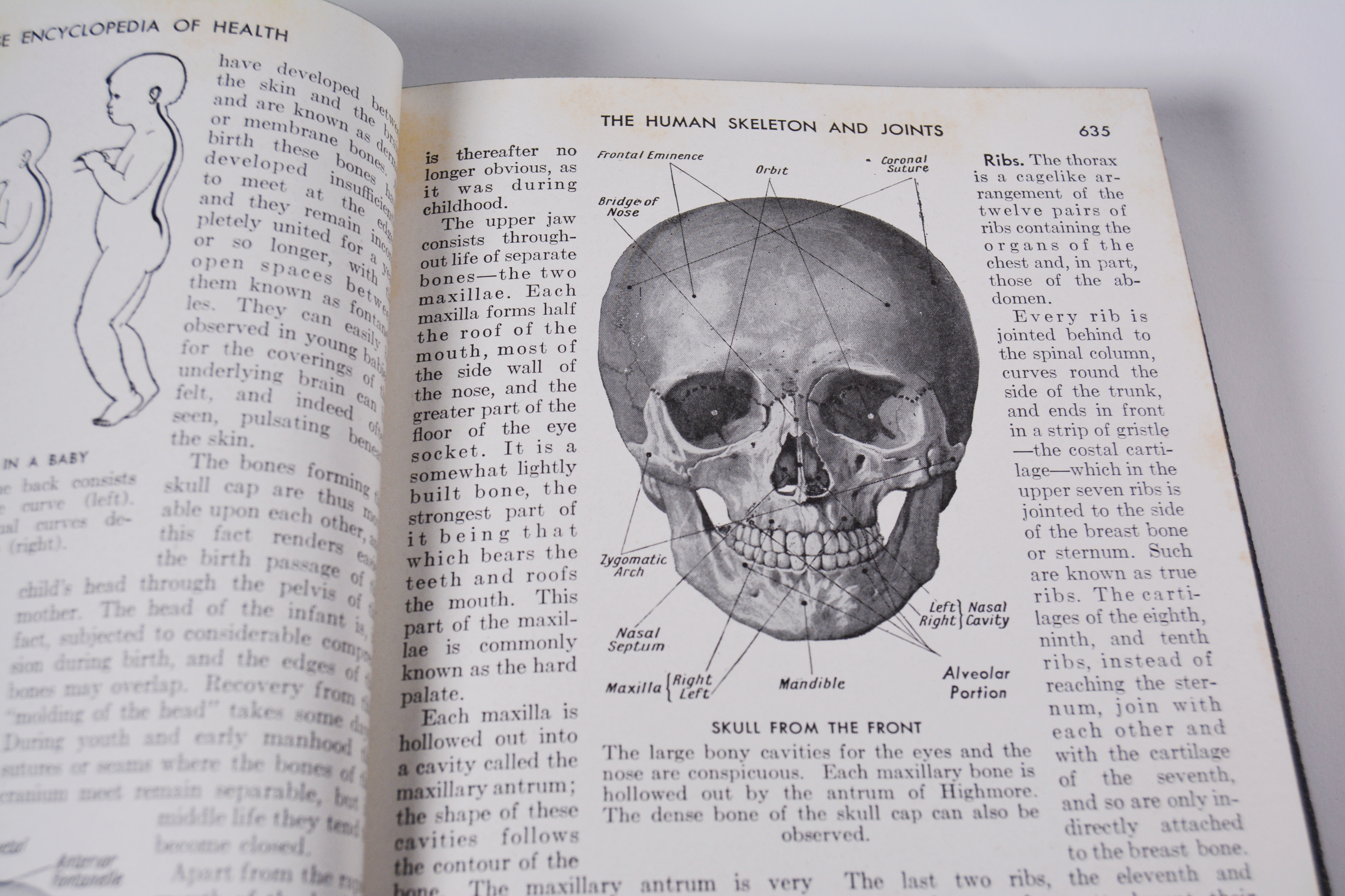 "The New Peoples Physician The Concise Encyclopedia of Health"