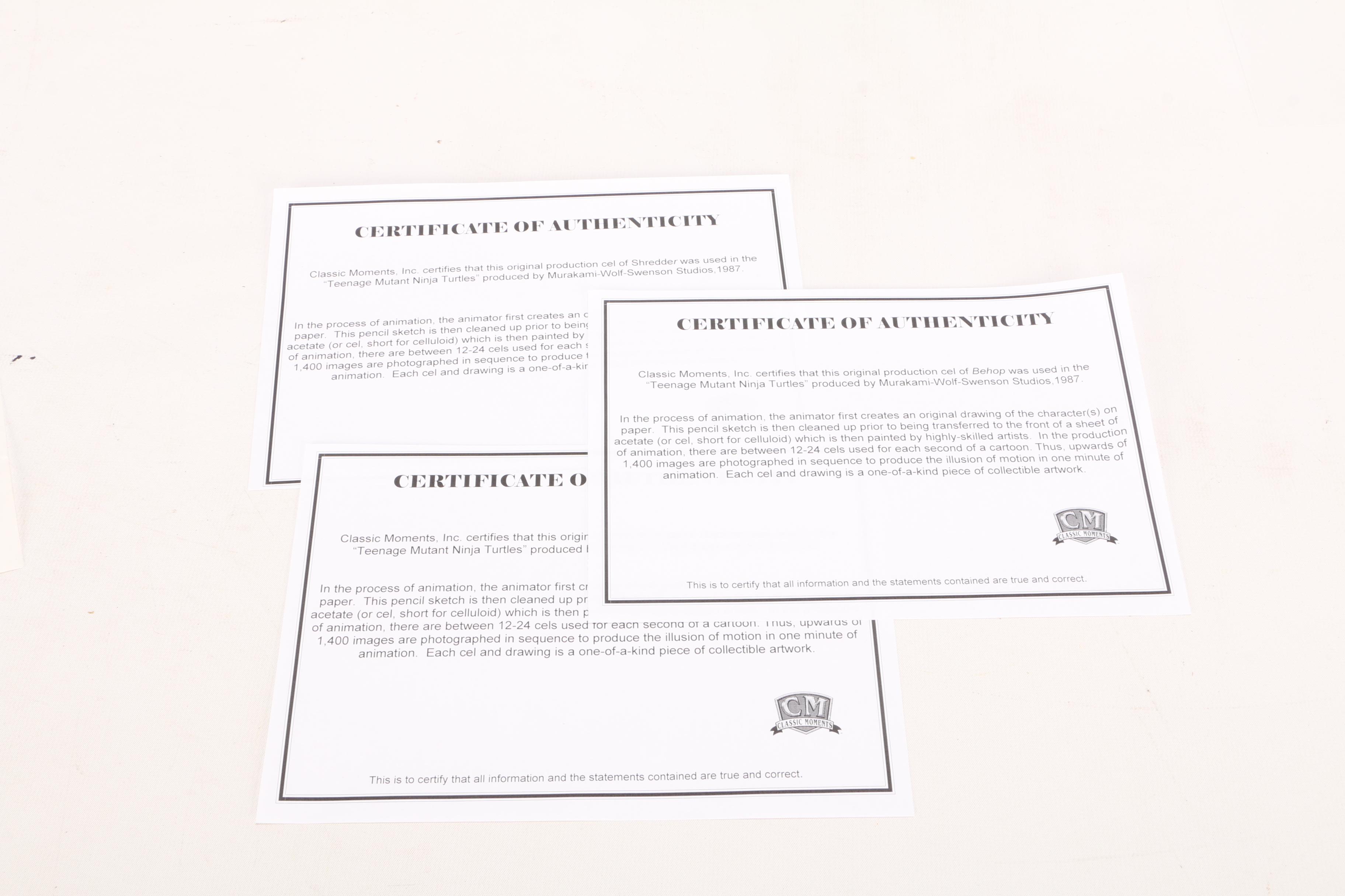 Teenage Mutant Ninja Turtles Production Cels