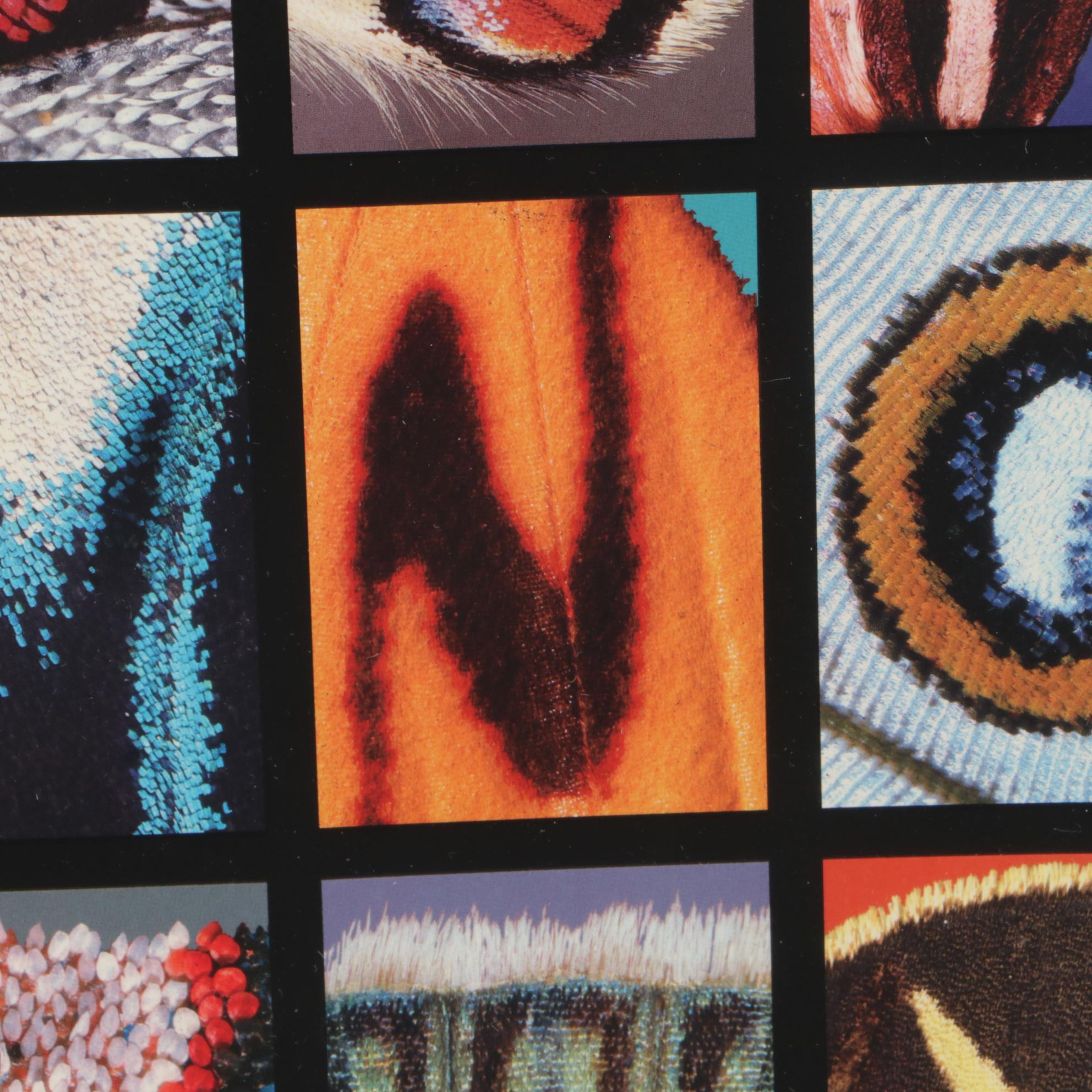 Offset Lithograph after Kjell B. Sandved "Butterfly Alphabet"