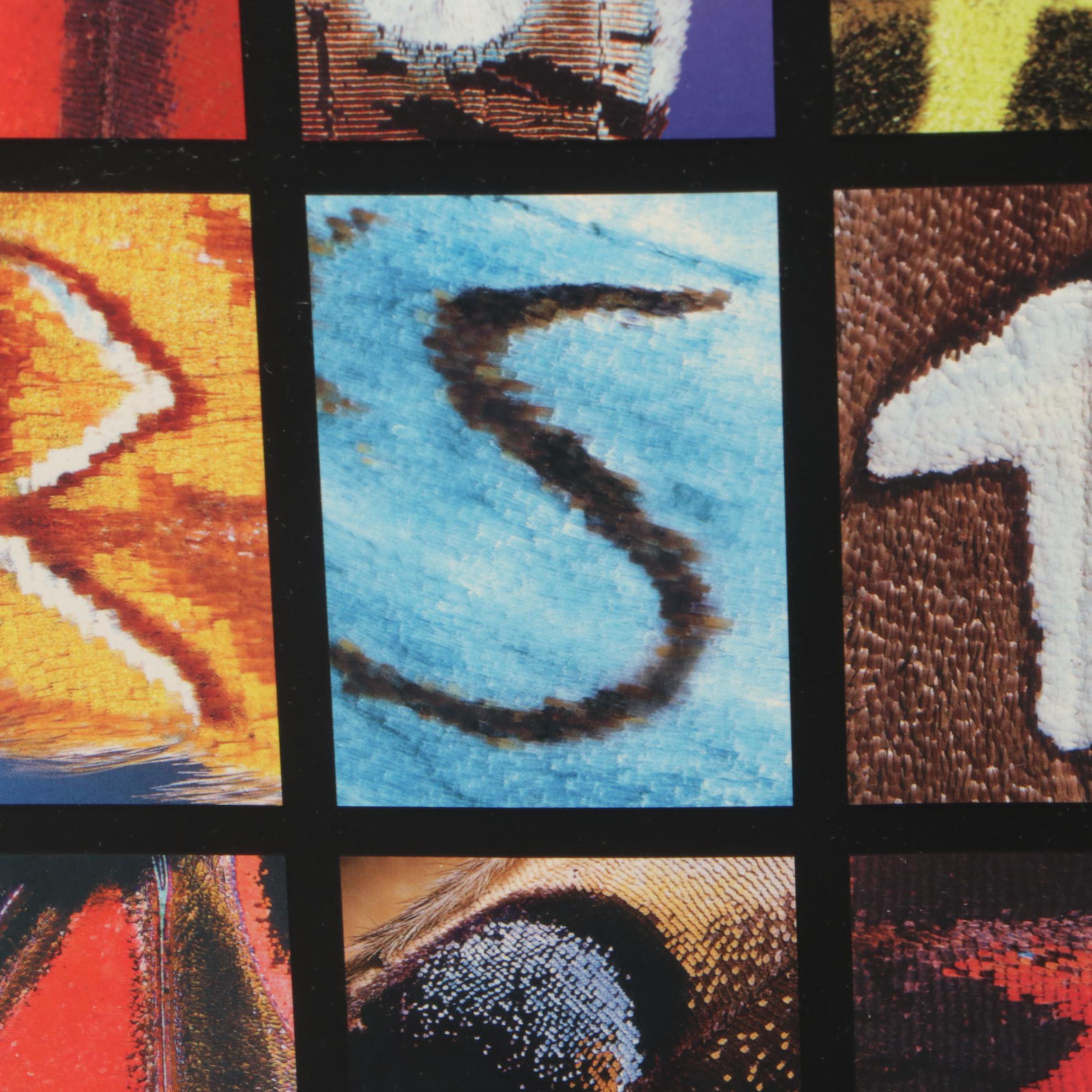 Offset Lithograph after Kjell B. Sandved "Butterfly Alphabet"