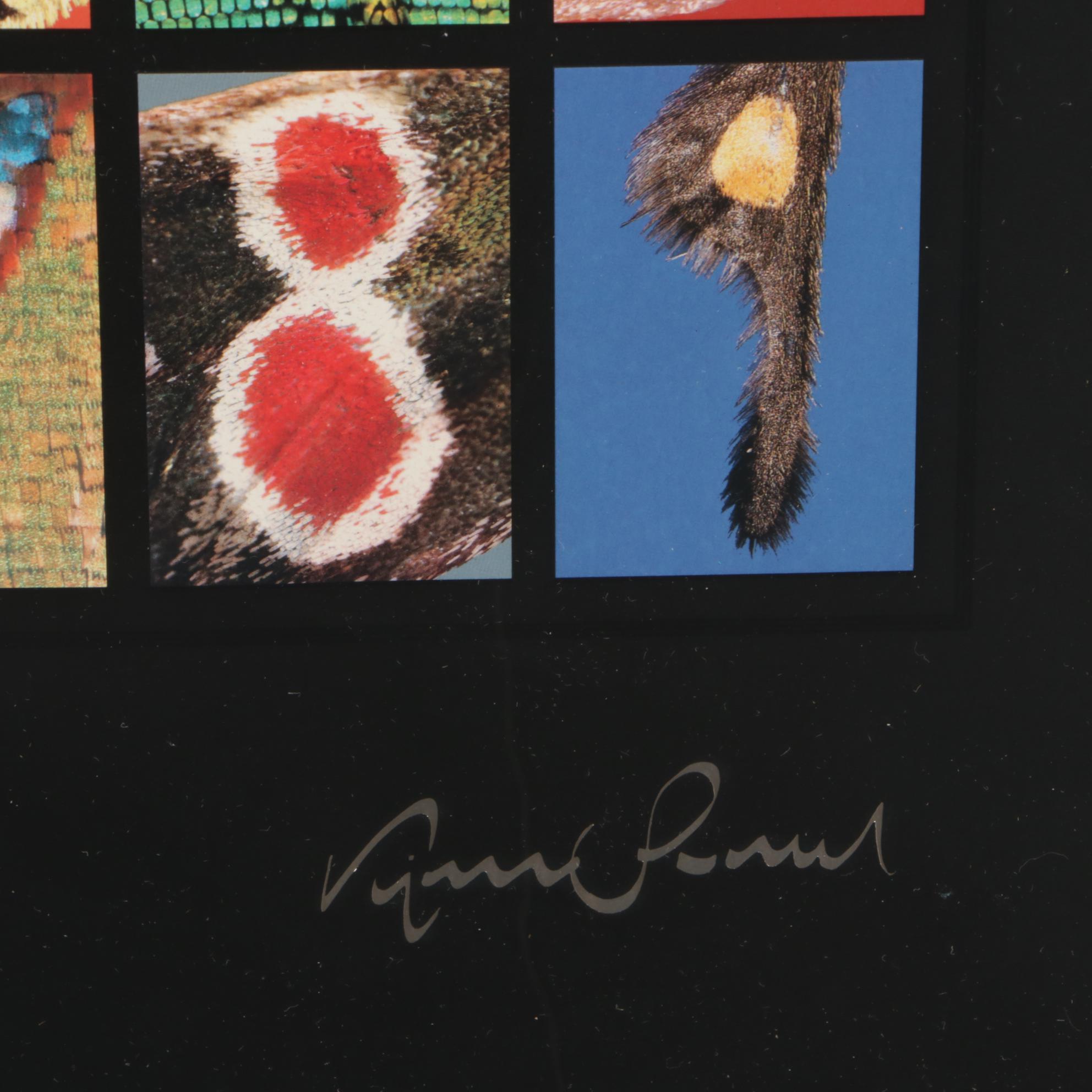 Offset Lithograph after Kjell B. Sandved "Butterfly Alphabet"