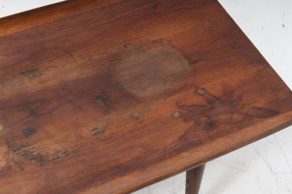 Modern Walnut Long Coffee Table