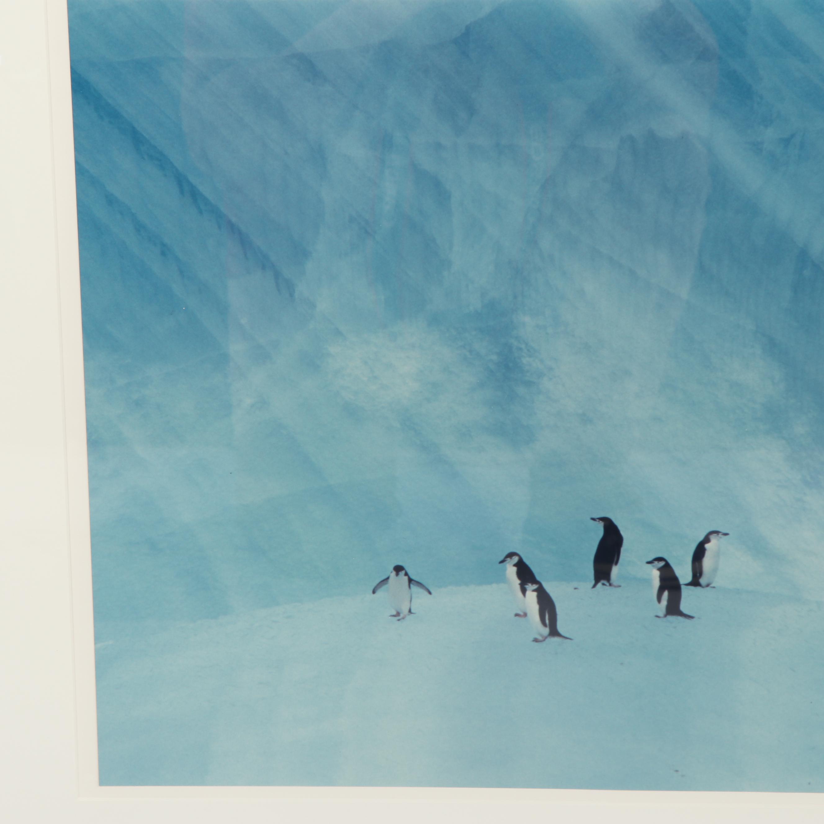 Wolfgang Kaehler Color Photograph "Antarctica 1981"