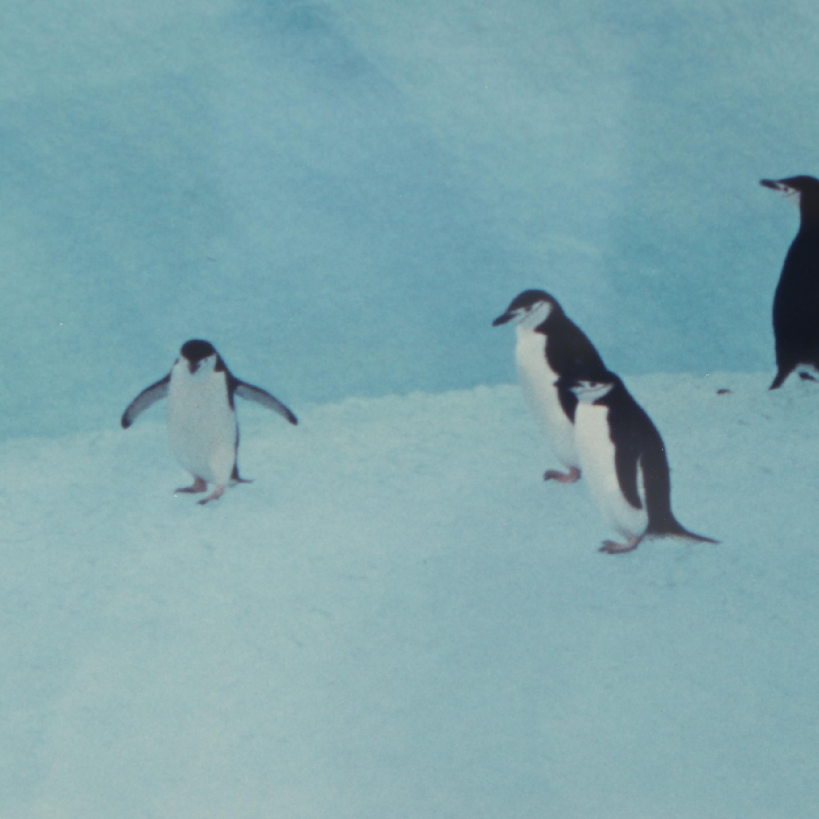 Wolfgang Kaehler Color Photograph "Antarctica 1981"