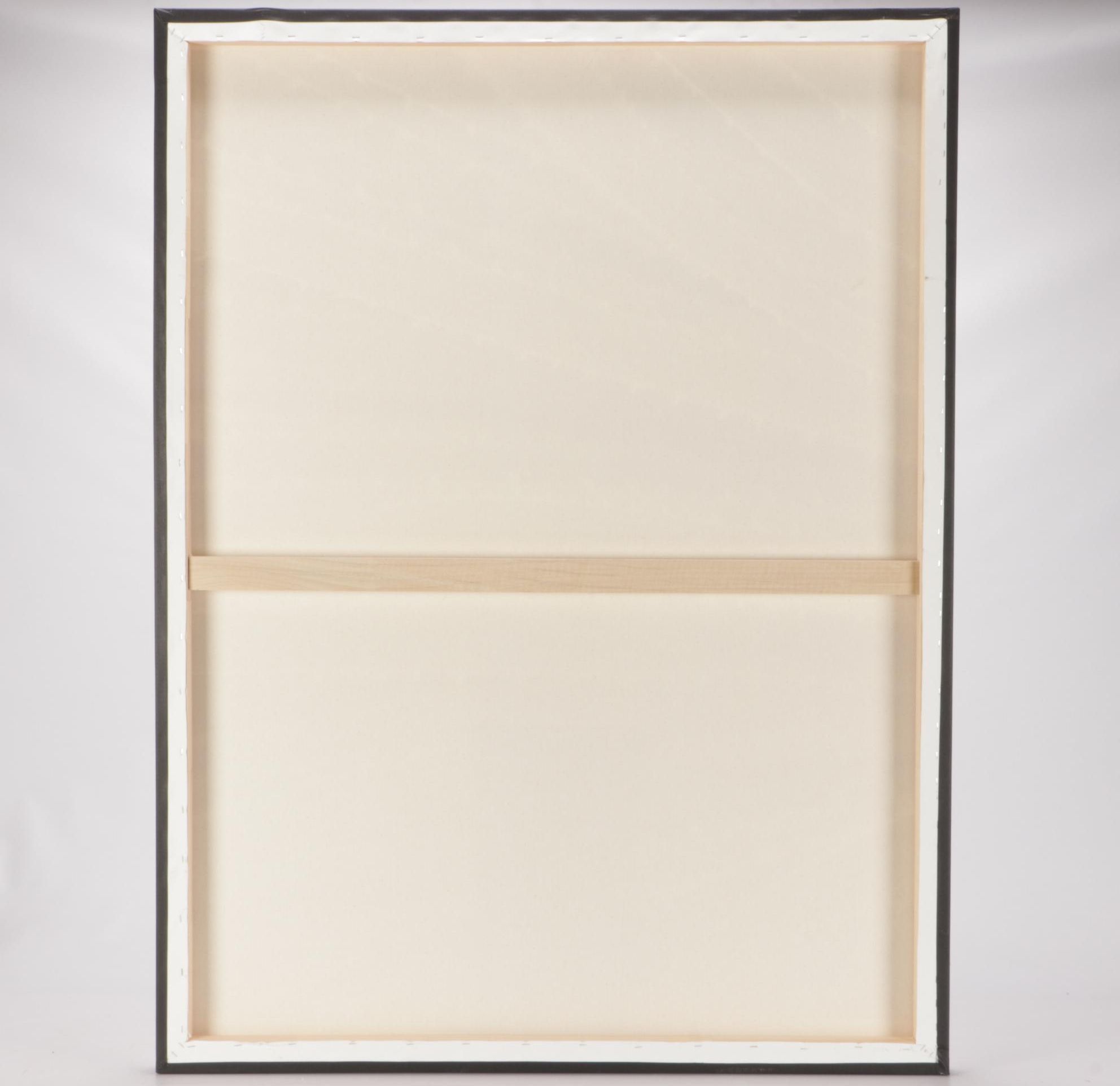 Giclee Print after Murray Bolesta Photograph of Plant Forms