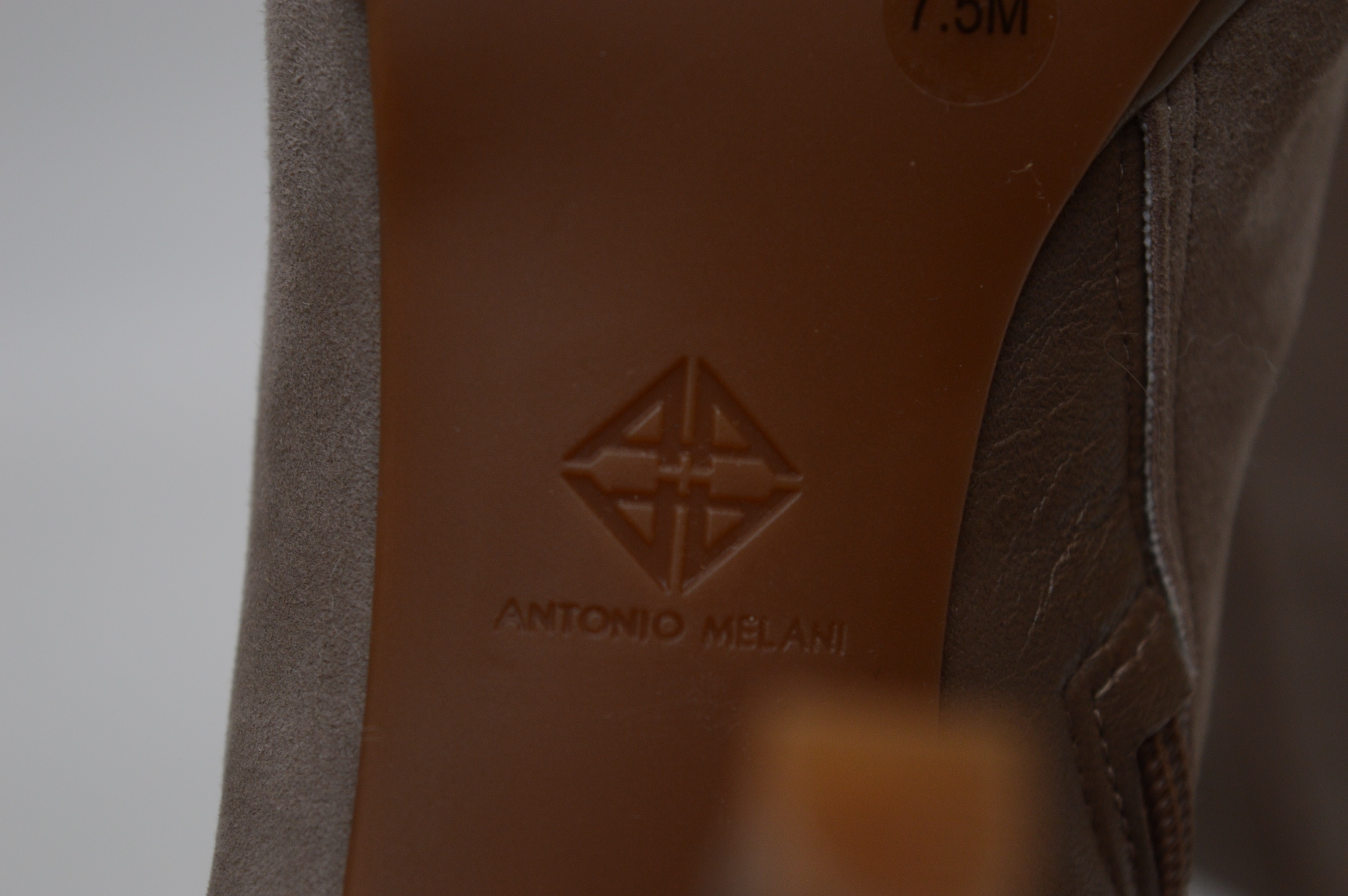 Women's Antonio Melani Boots and More