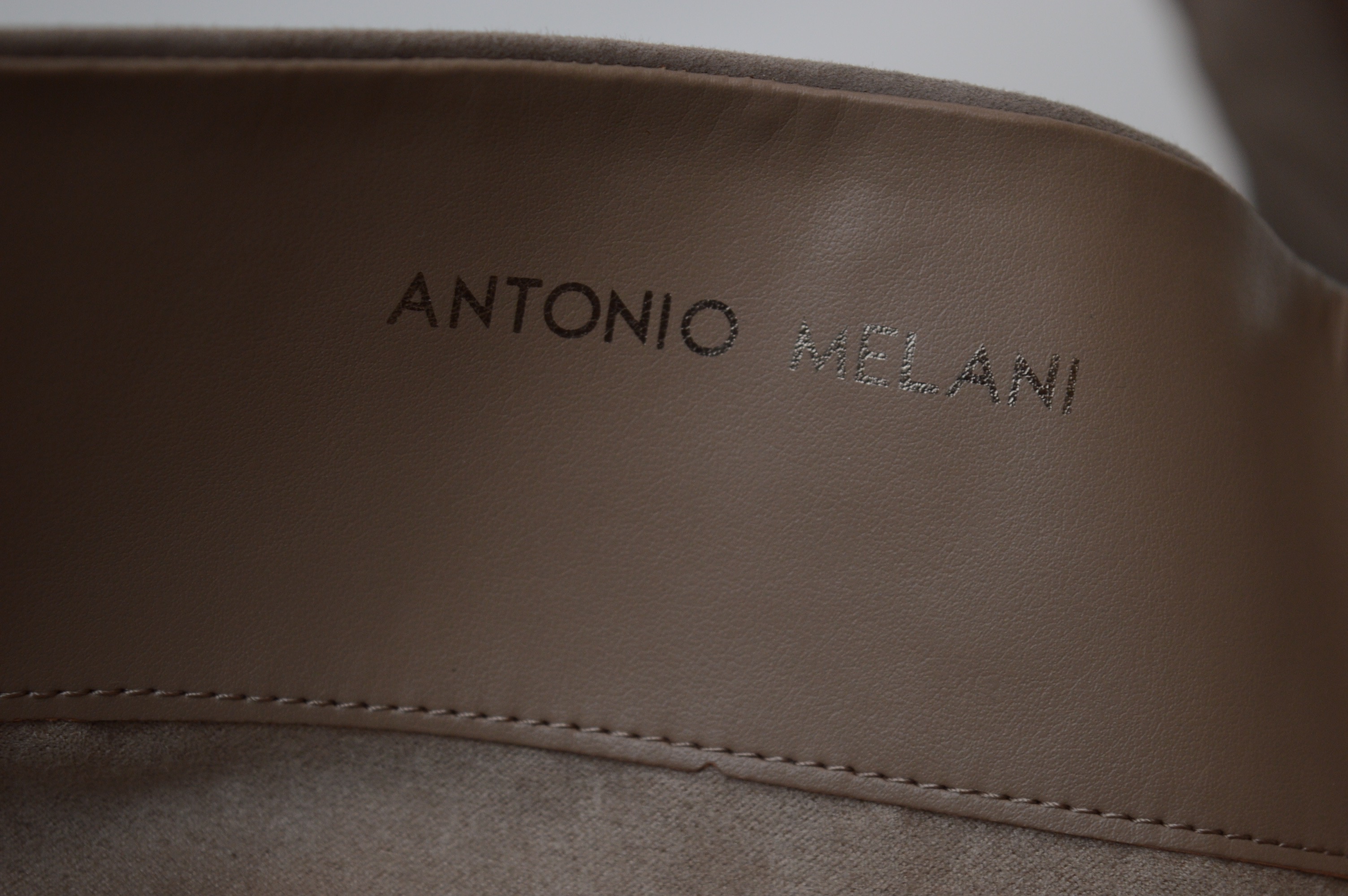 Women's Antonio Melani Boots and More