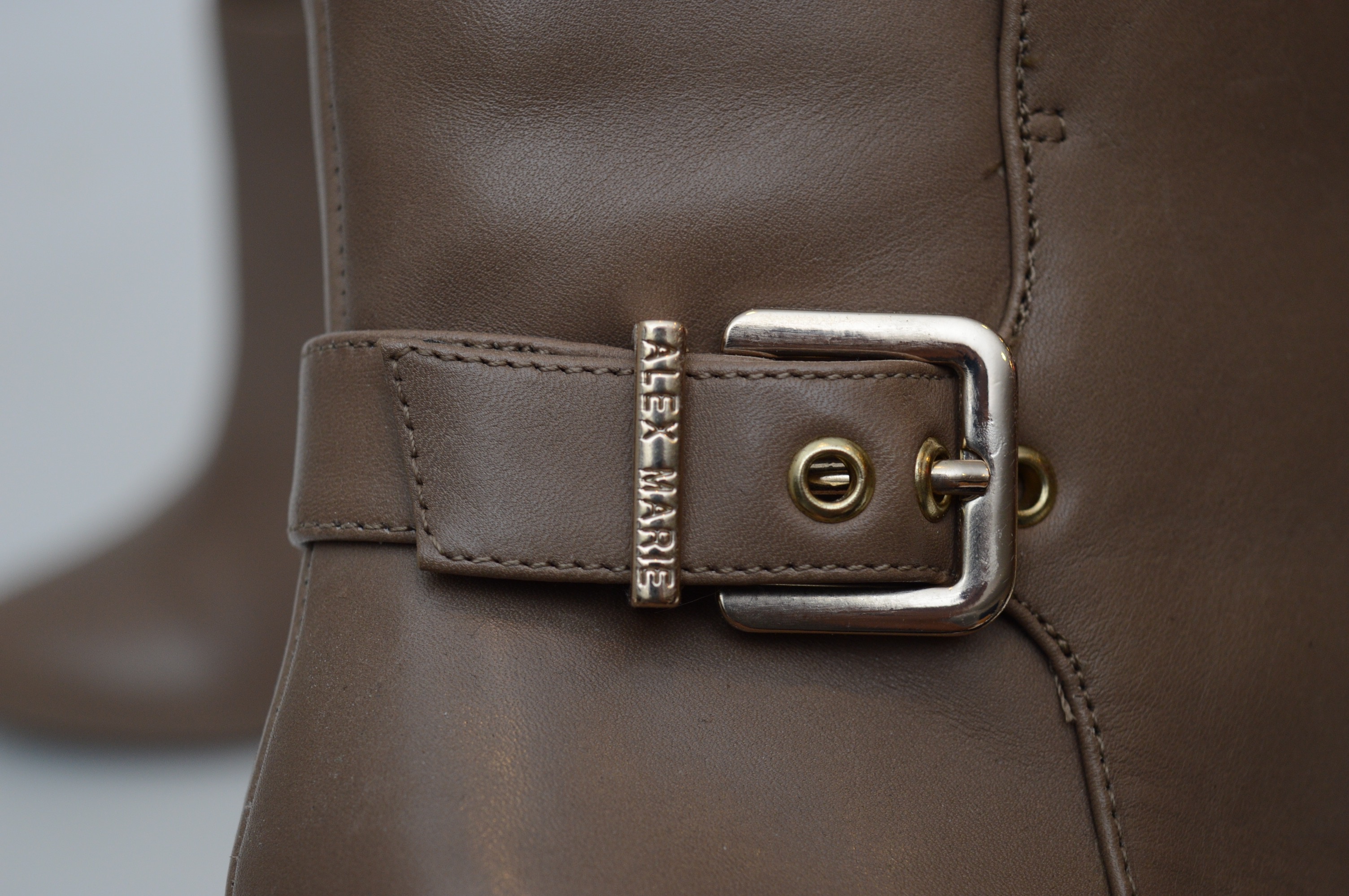 Women's Antonio Melani Boots and More