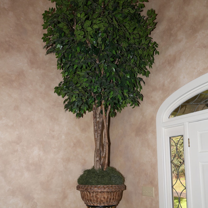 Monumental Faux Ficus Tree in Gilt Planter