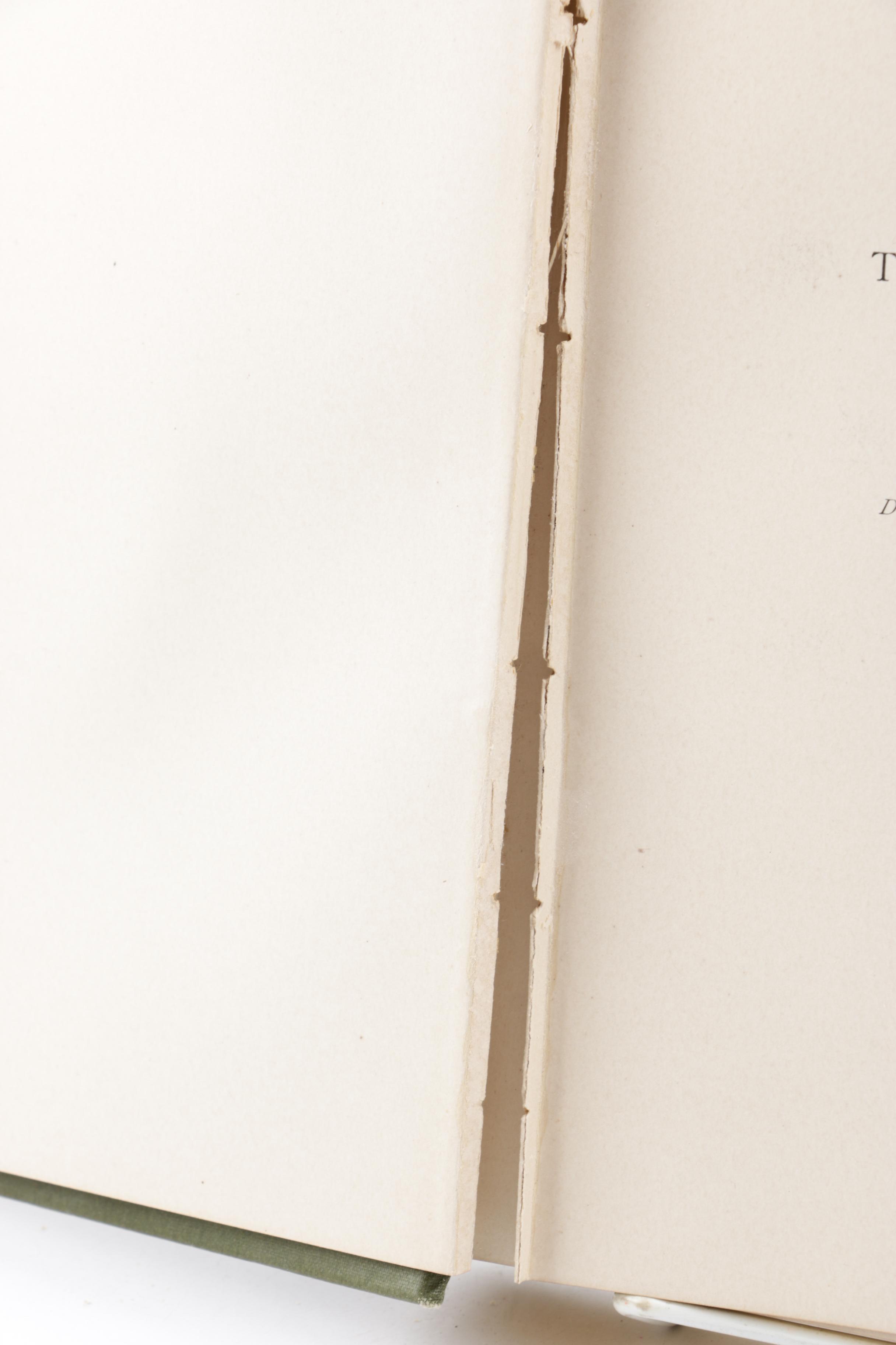 1887 Illustrated "The Lay of the Last Minstrel" by Sir Walter Scott