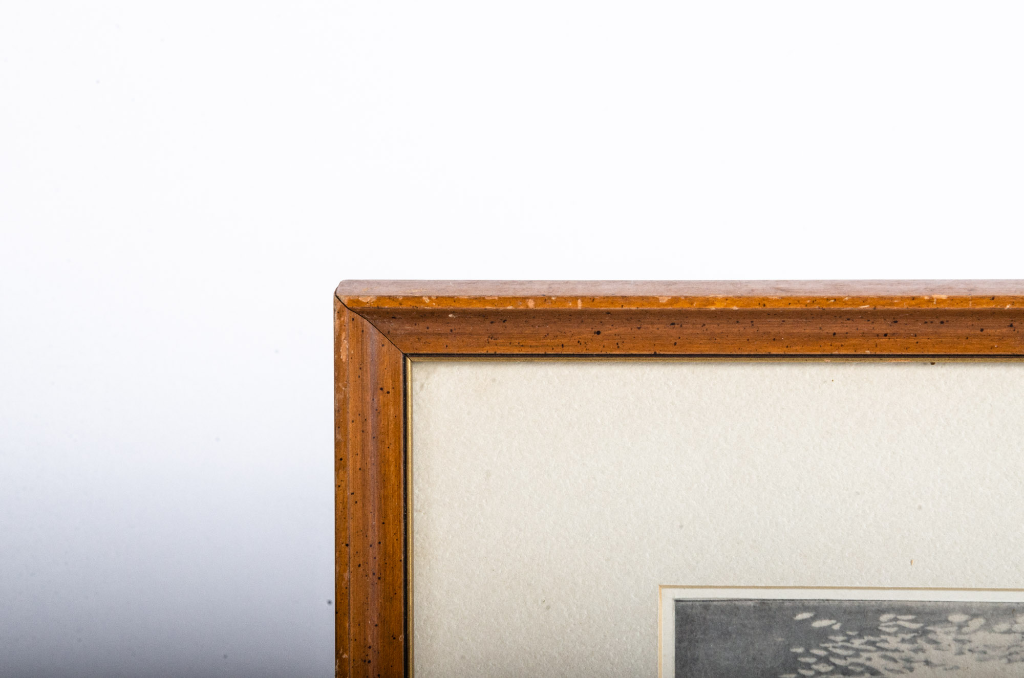 Hans Frank Hand Colored Woodcut of Vienna, Austria Landscape