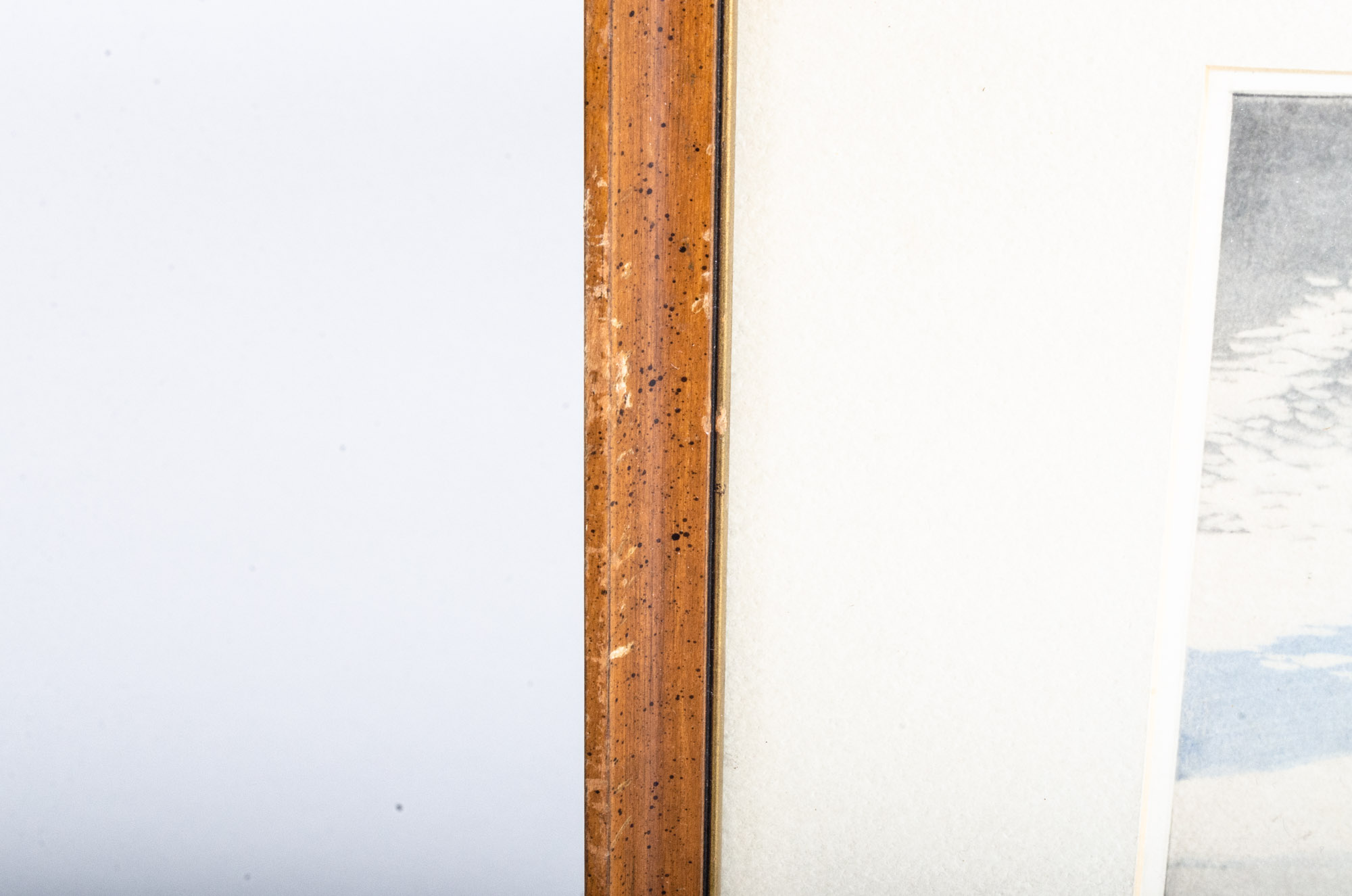 Hans Frank Hand Colored Woodcut of Vienna, Austria Landscape