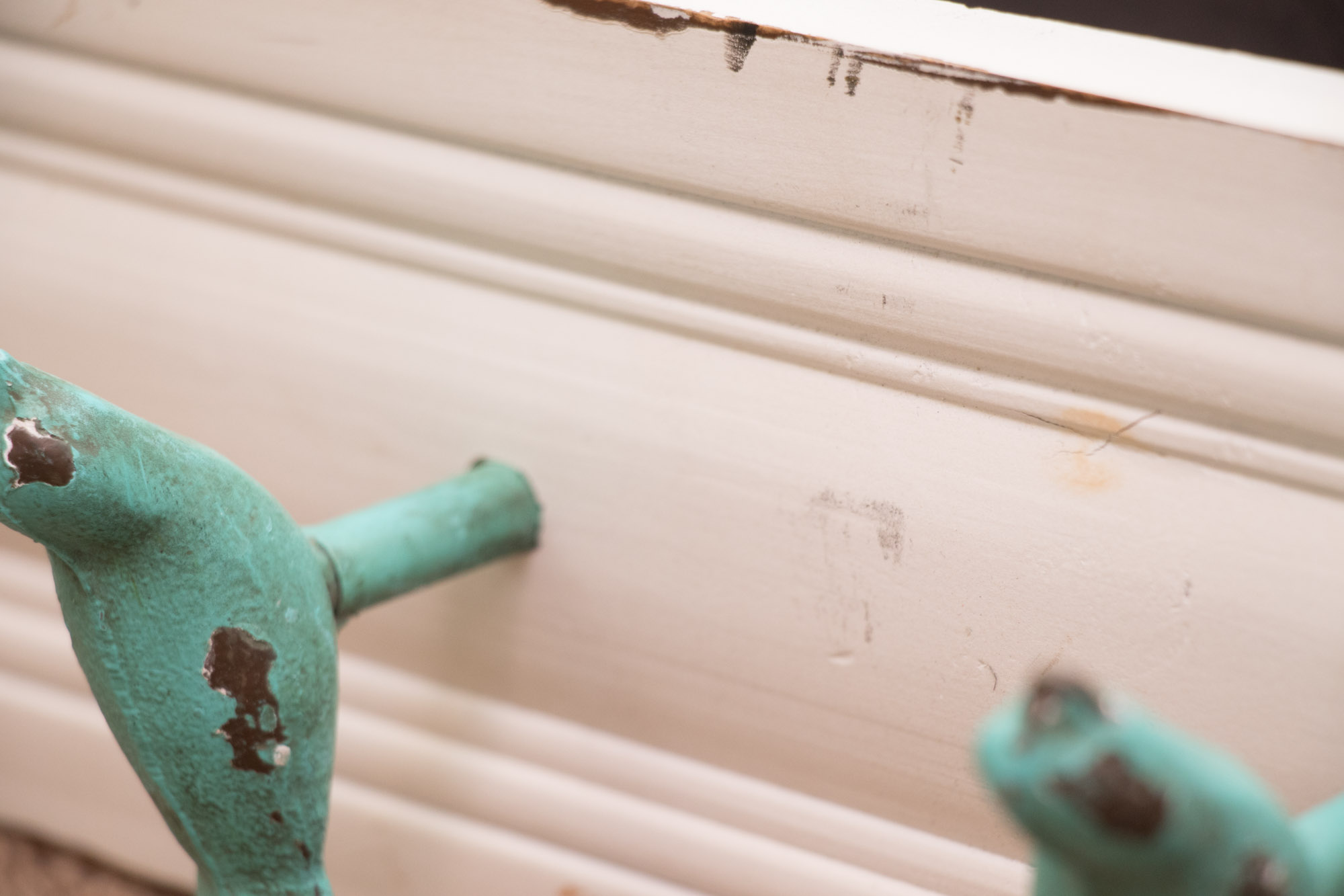 Beach Home Decor Collection