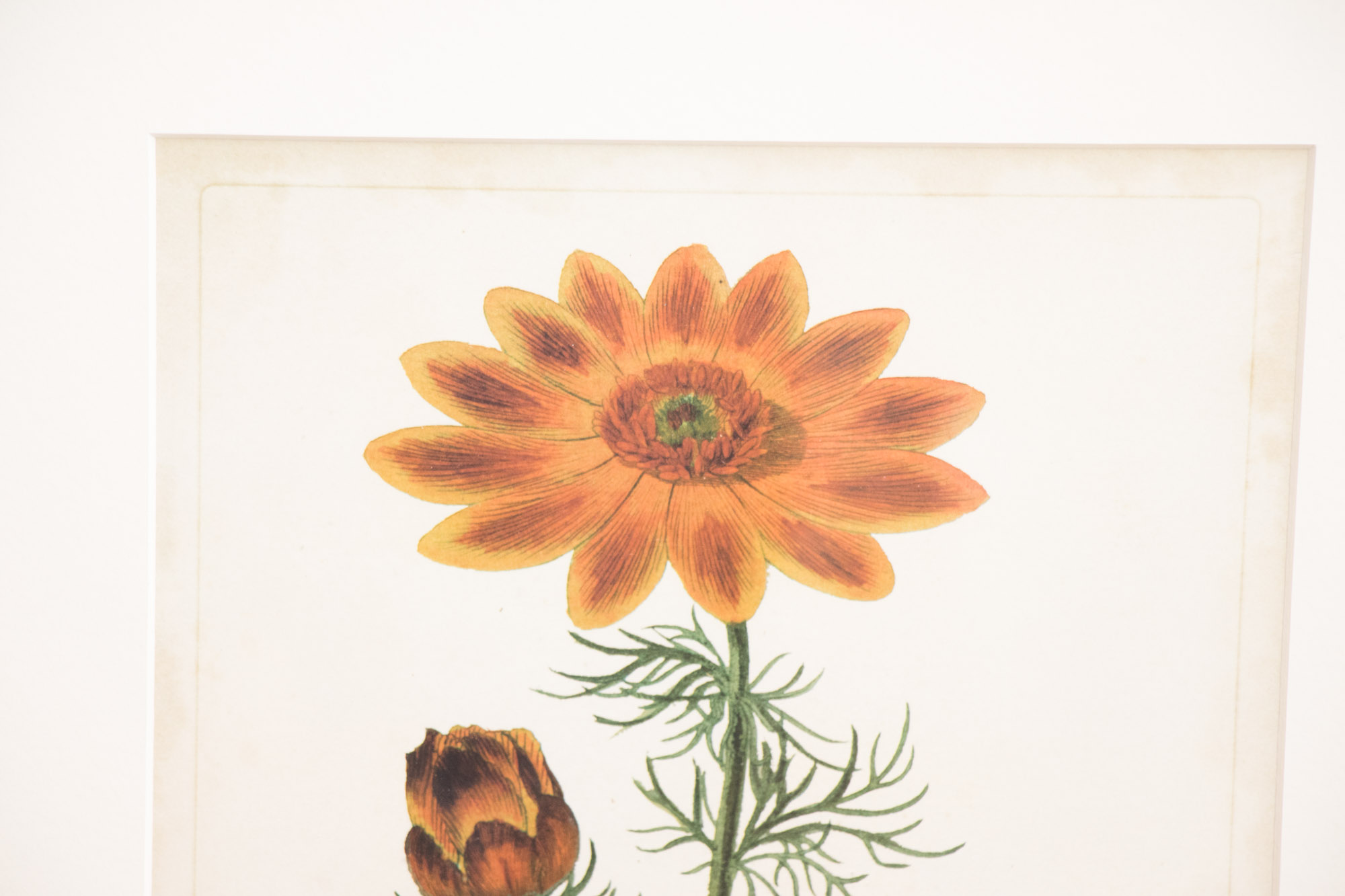 Traditional Home Decor Collection