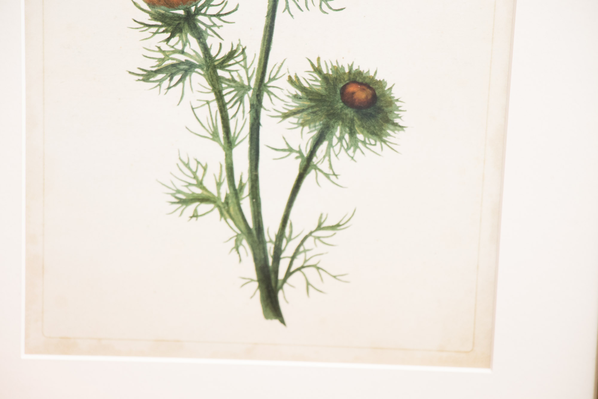 Traditional Home Decor Collection