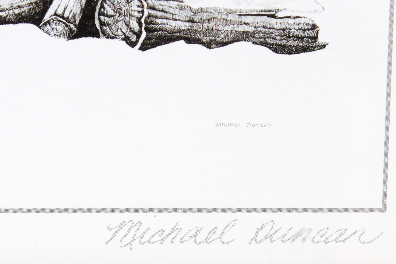 Michael Duncan "Northern Sunset"