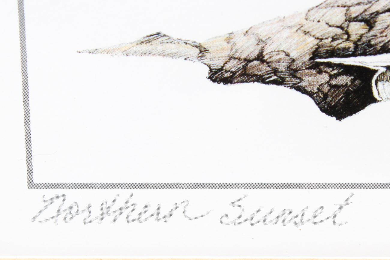 Michael Duncan "Northern Sunset"