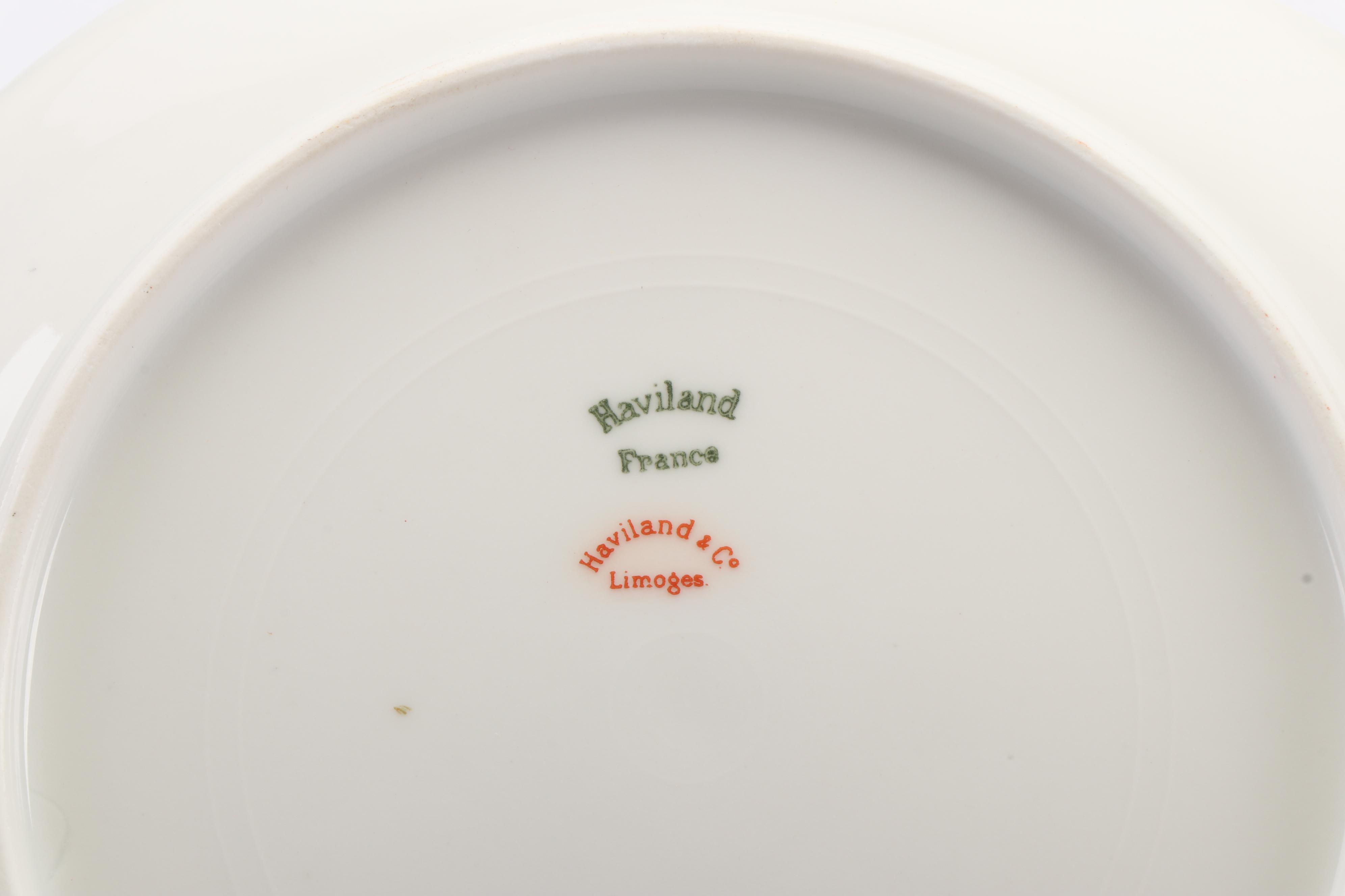Haviland & Co. Limoges Porcelain Dinnerware