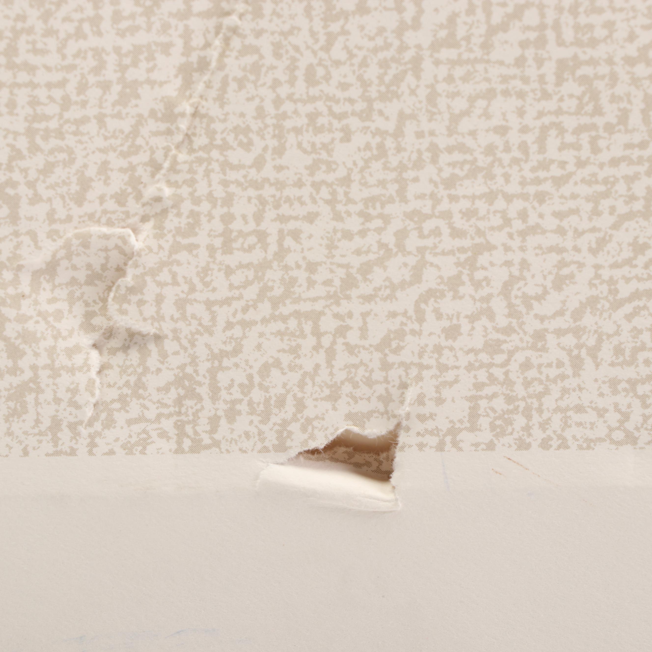 Edna Hibel Offset Lithograph  "The Bonnet"