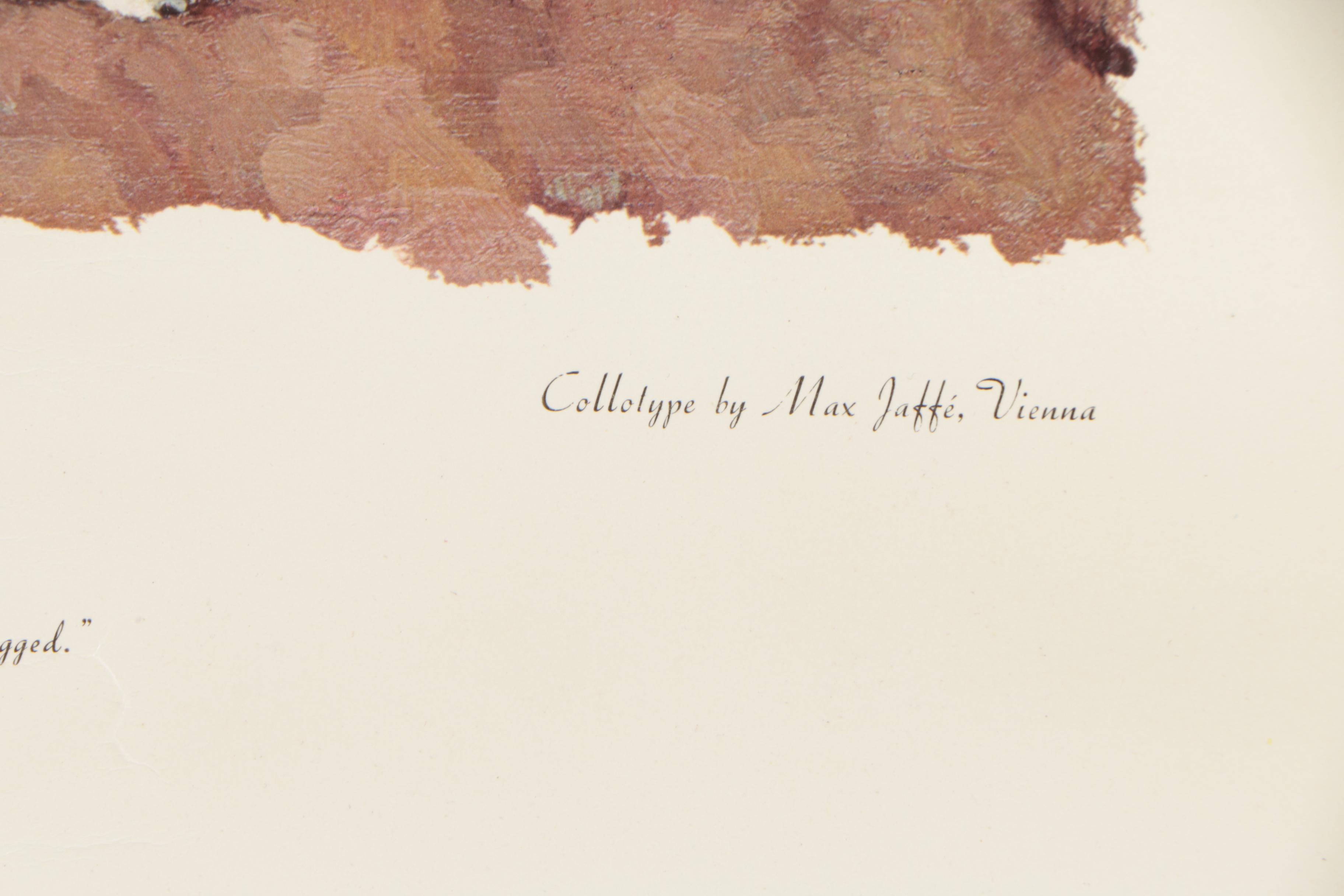 Collotype After Norman Rockwell "Tom Sawyer"