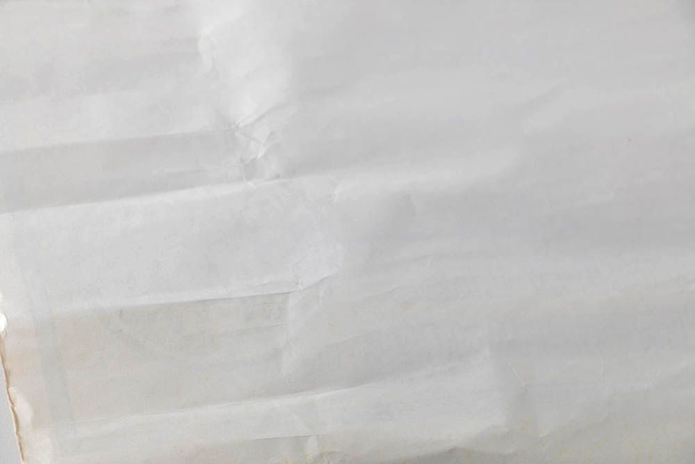 Offset Lithograph "Ringling Bros and Barnum & Bailey Combined Shows" Poster