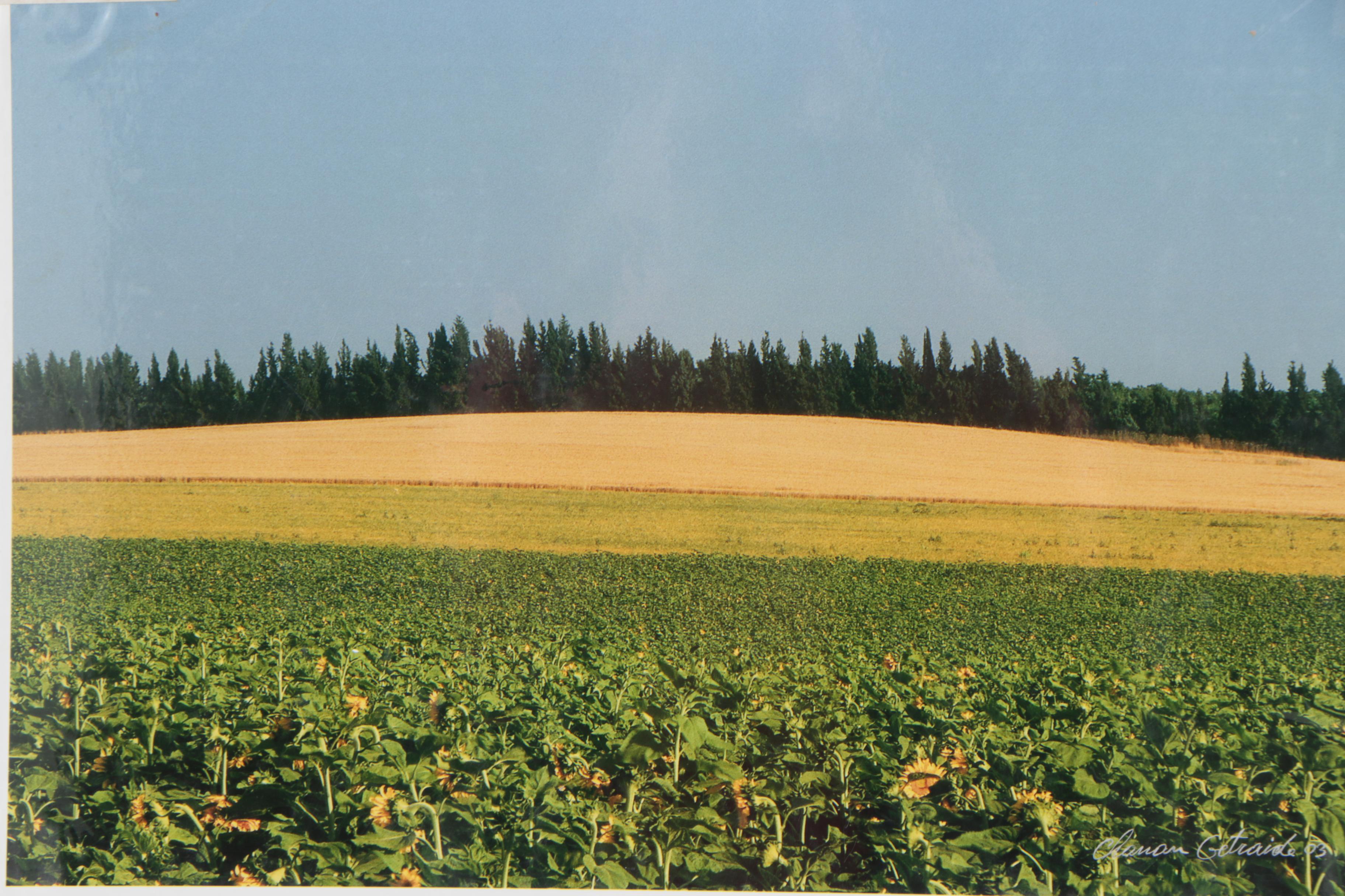 Chanan Getraide Israeli Landscape Chromogenic Color Photographs