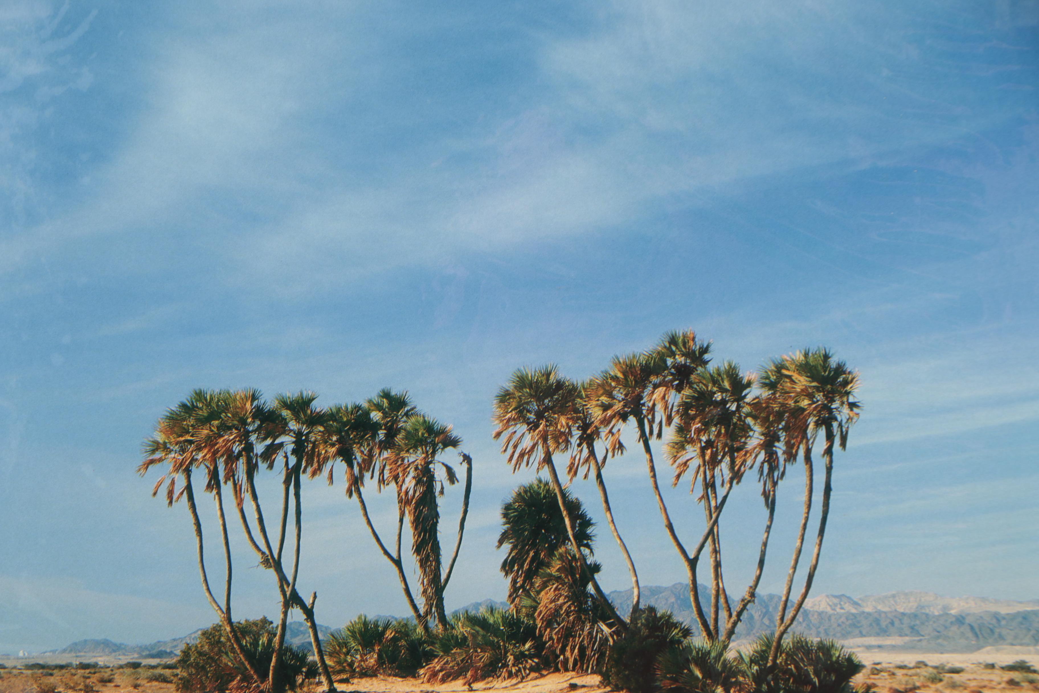 Chanan Getraide Israeli Landscape Chromogenic Color Photographs