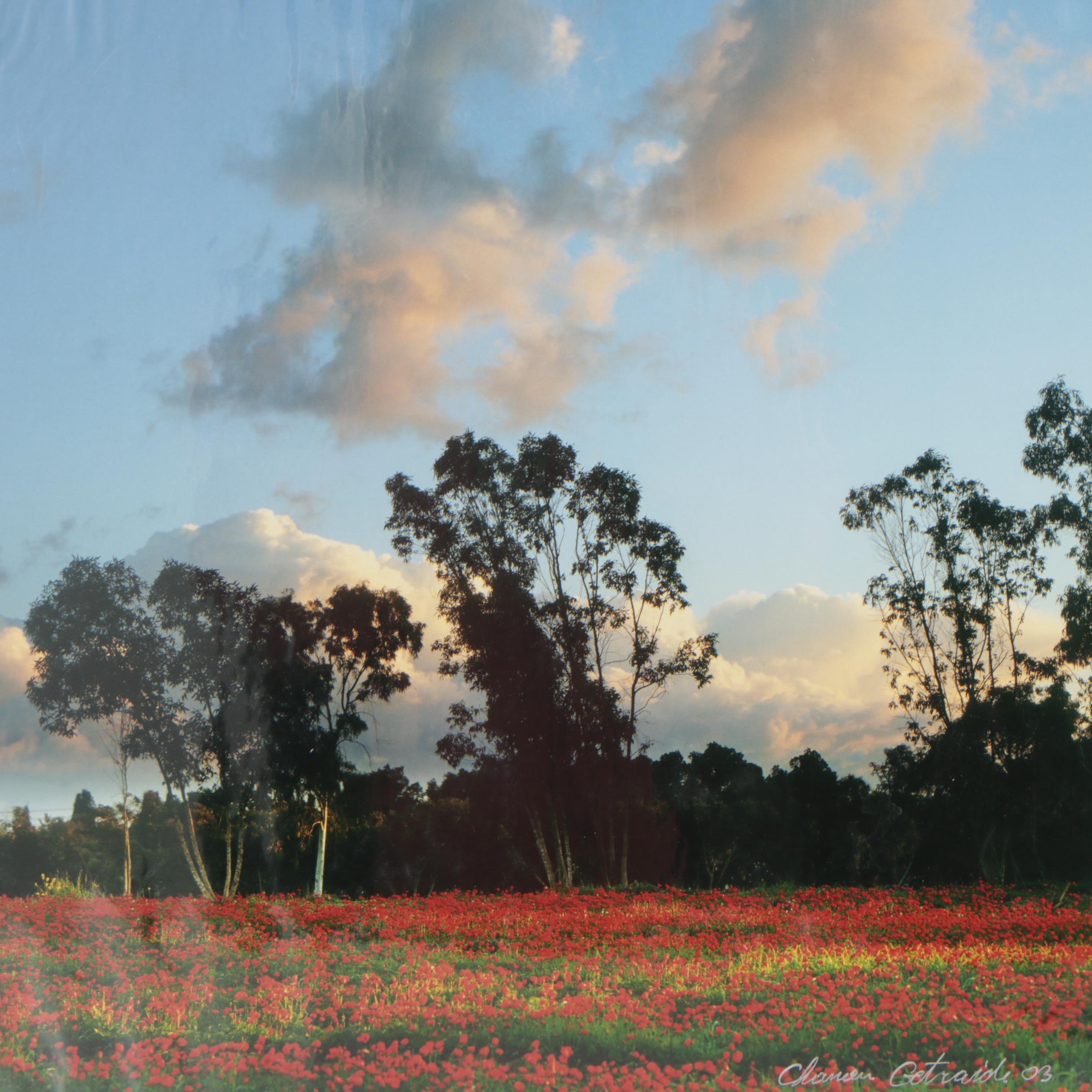 Chanan Getraide Israeli Landscape Chromogenic Color Photographs