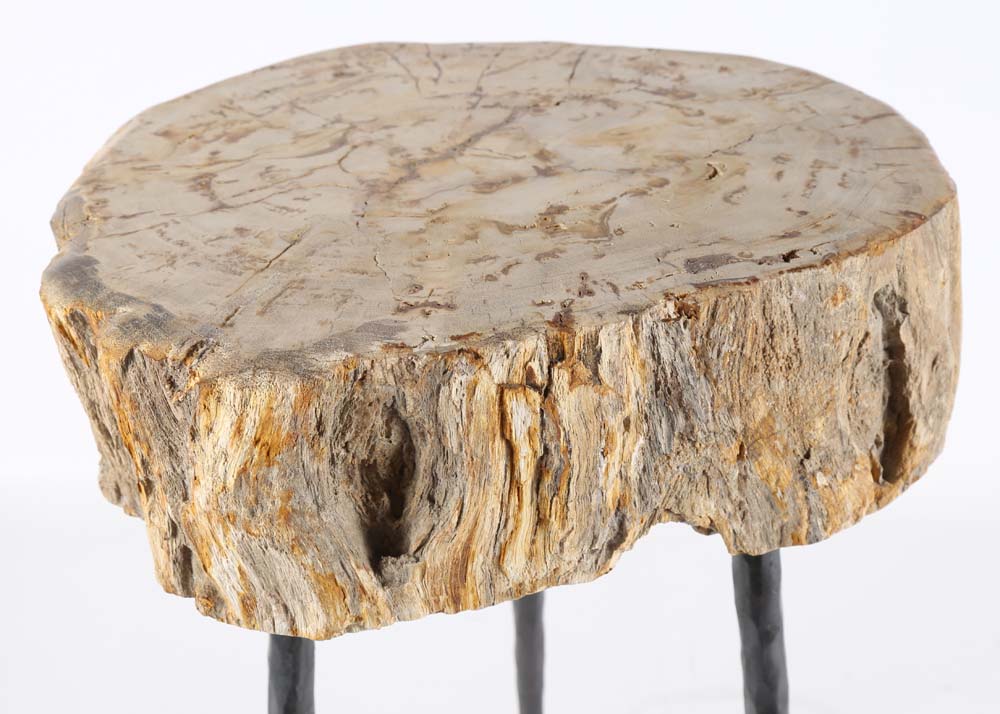 Contemporary Petrified Wood Tripod Stool