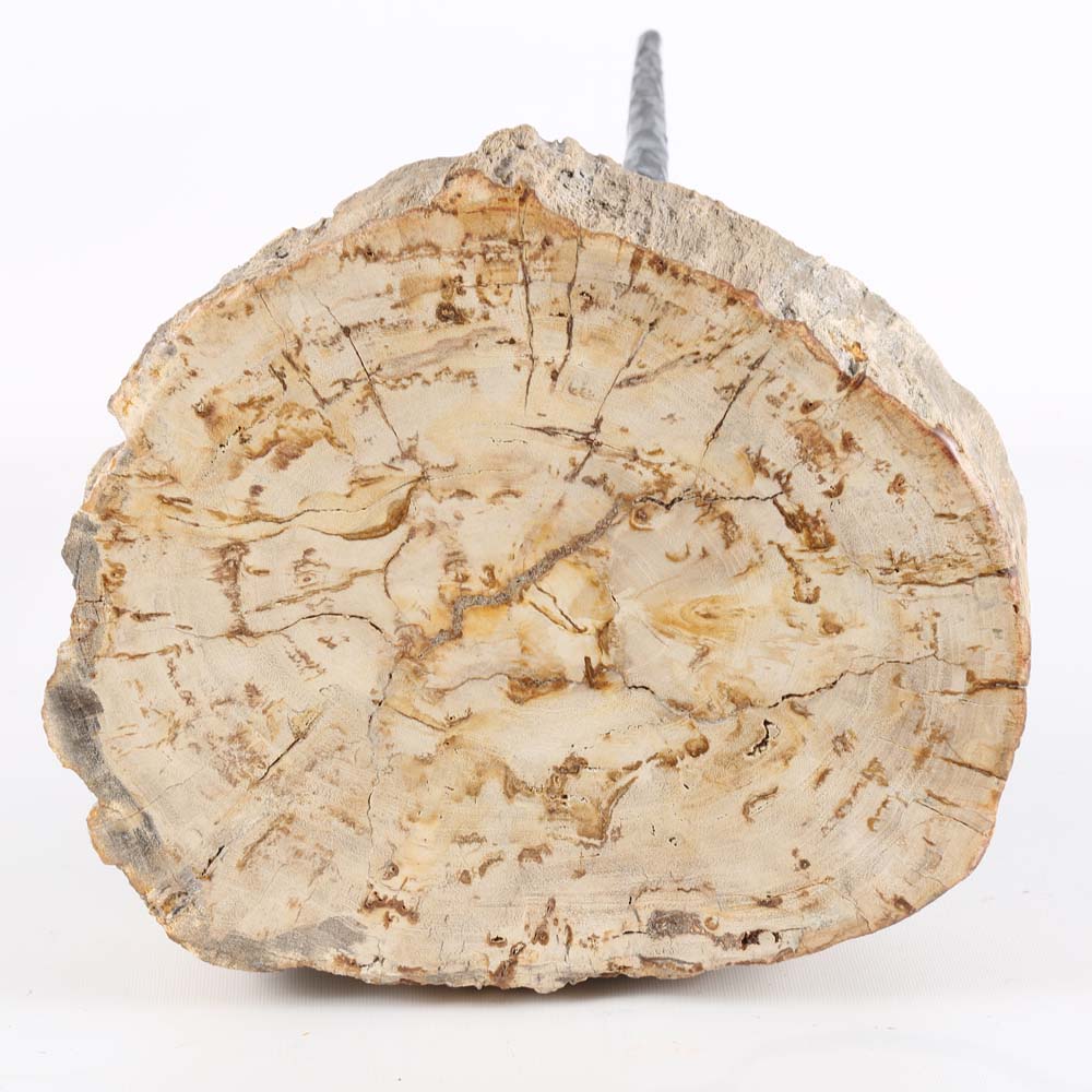 Contemporary Petrified Wood Tripod Stool