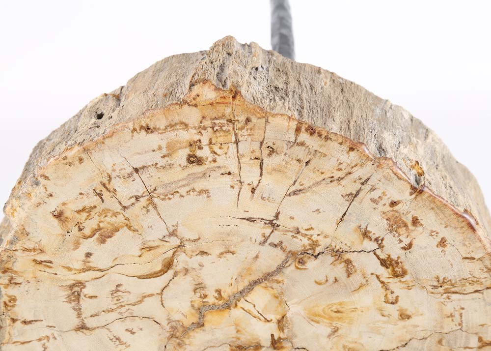 Contemporary Petrified Wood Tripod Stool