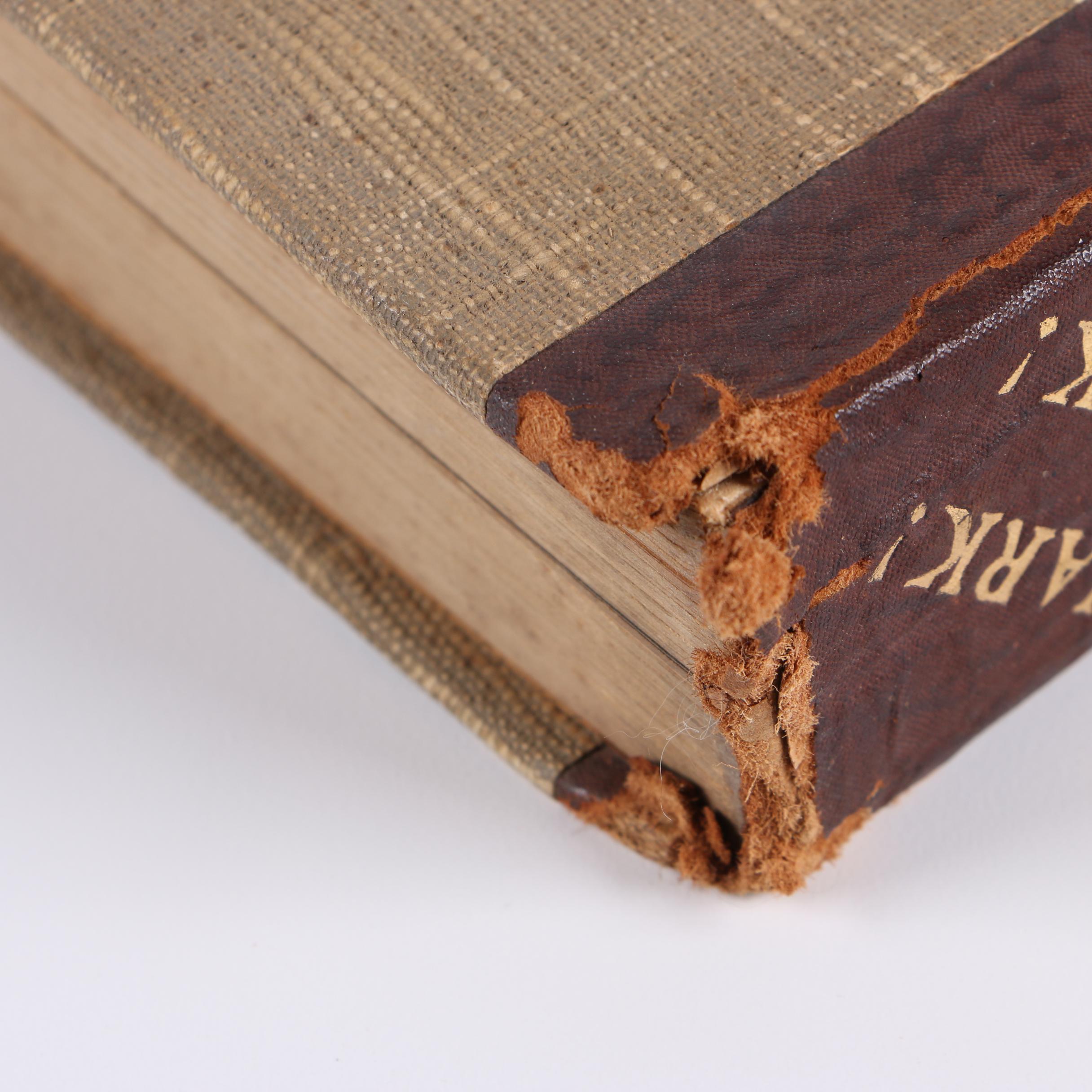 1933 "Shark! Shark!" by Captain William E. Young and Horace S. Mazet