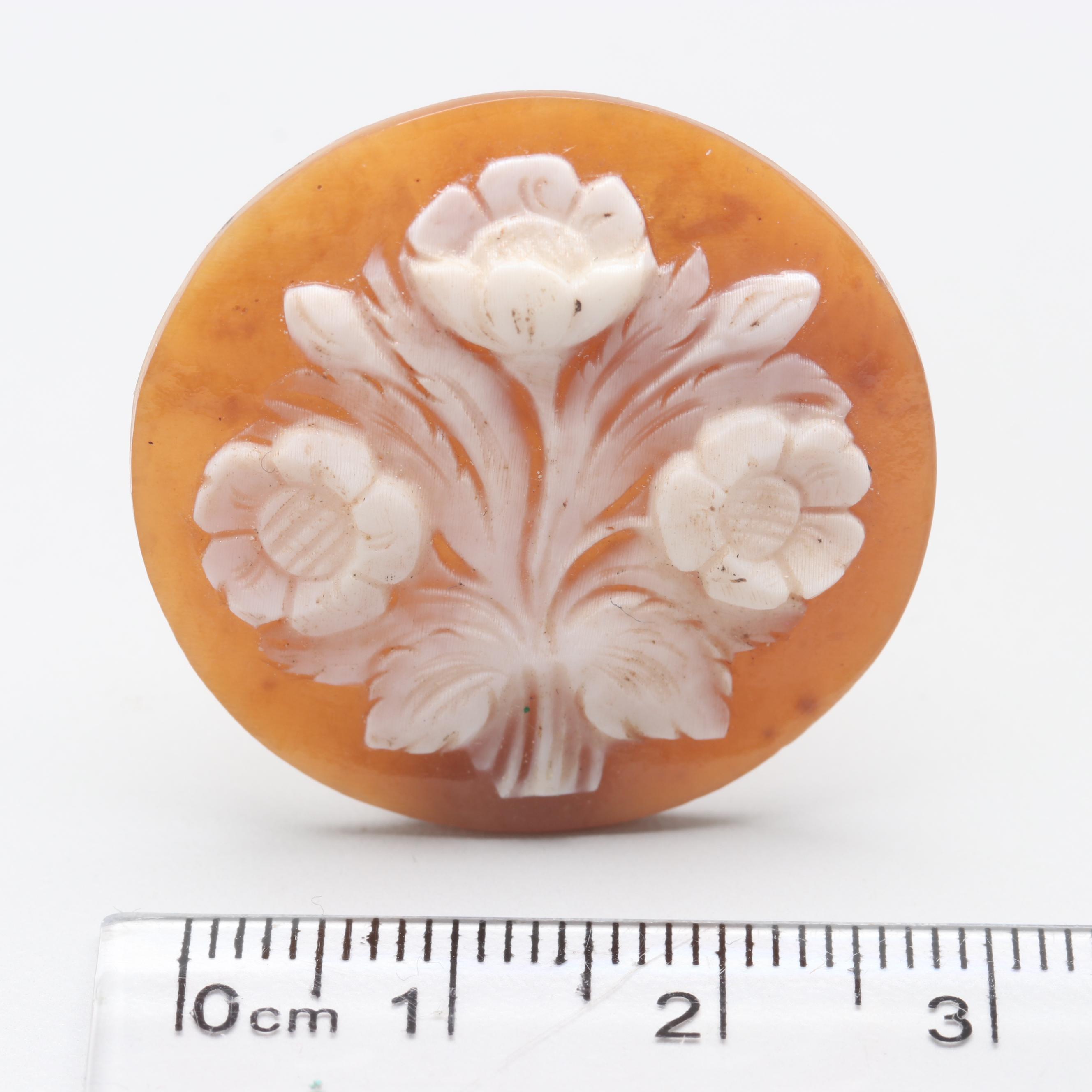 Loose Shell Cameo