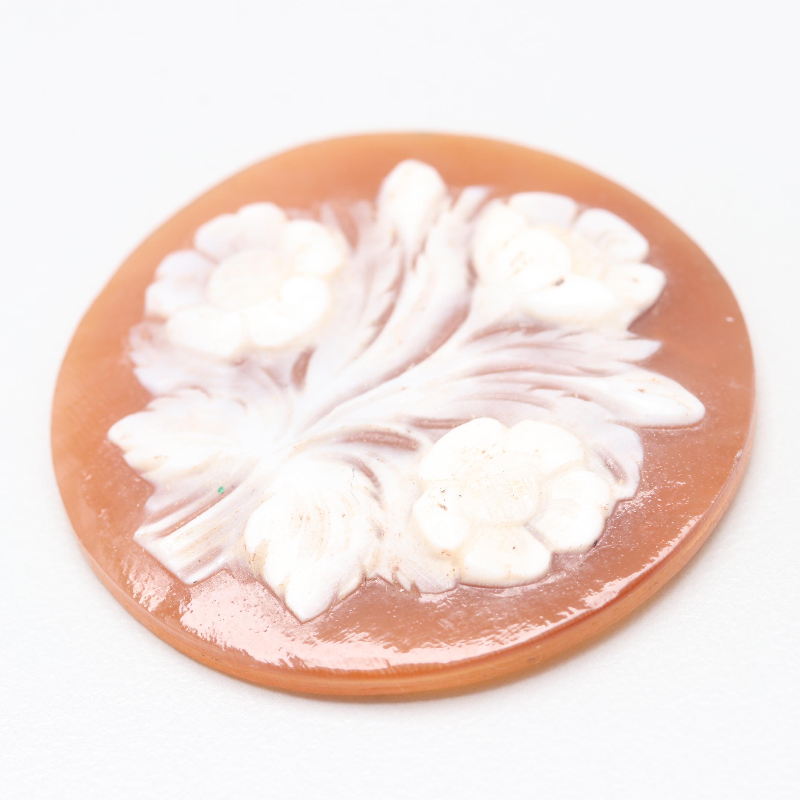 Loose Shell Cameo