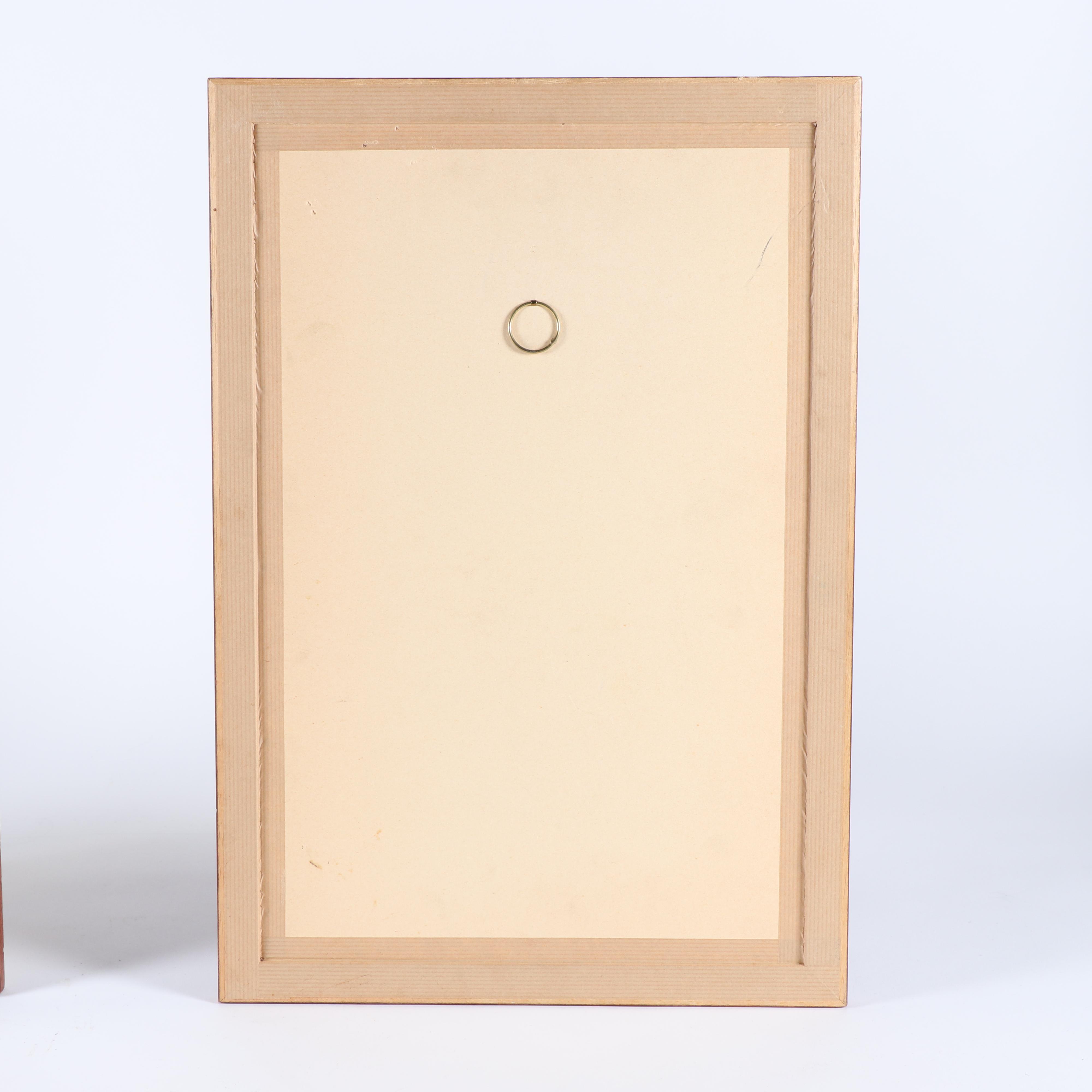 Framed Herbarium Saxifragae Pentadactylis and Andalousia Flowers, 19th Century