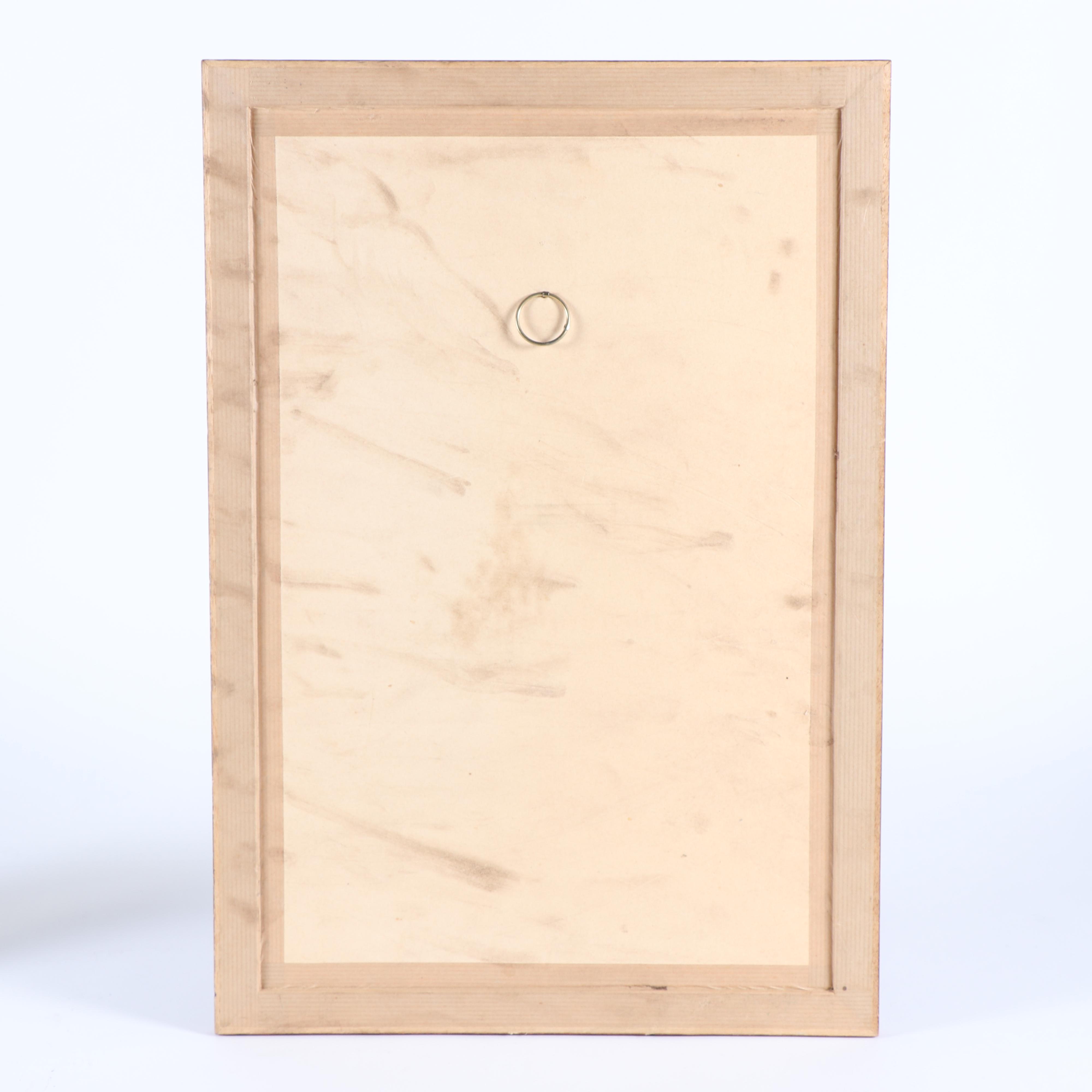 Framed Herbarium Saxifragae Pentadactylis and Andalousia Flowers, 19th Century