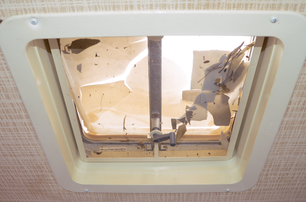 1987 Allegro Cincinnati Bengals Motorhome