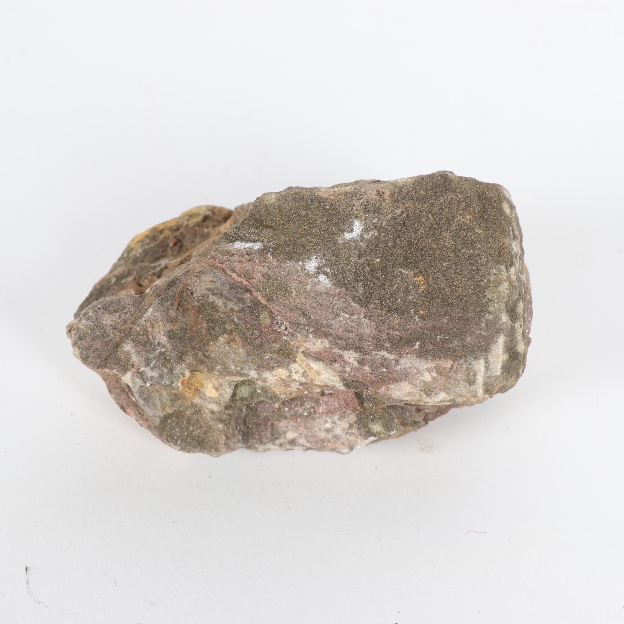 Fossil Trilobite Specimens