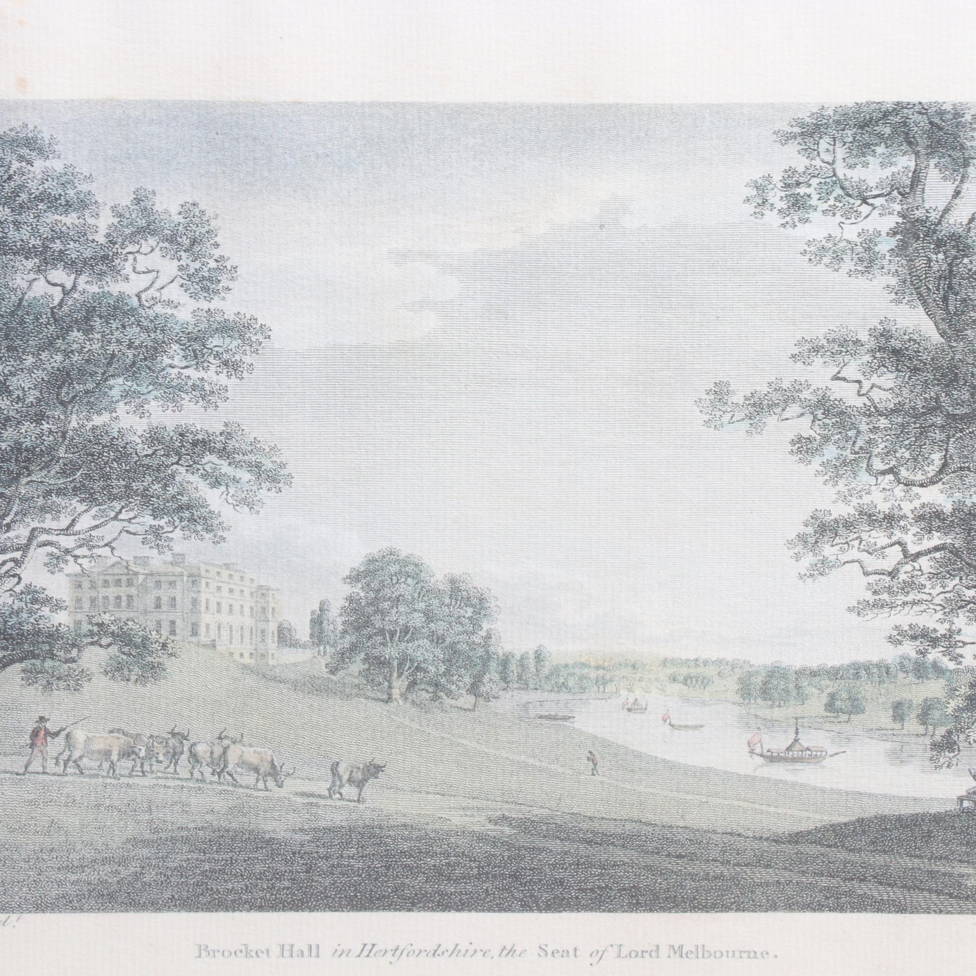 Hand-Colored Lithographs and Etching