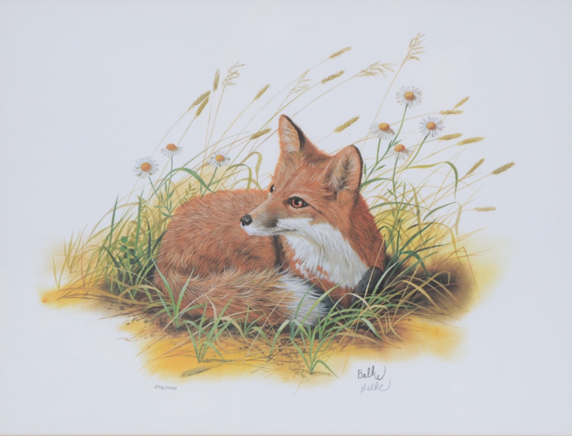 Don Balke Limited Edition Offset Lithograph"Red Fox Pup"