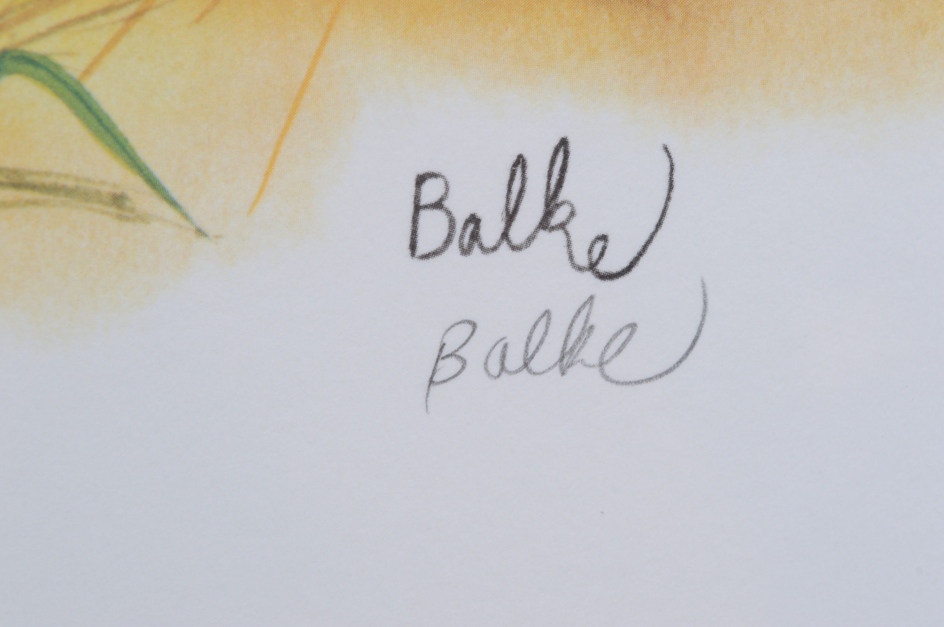 Don Balke Limited Edition Offset Lithograph"Red Fox Pup"