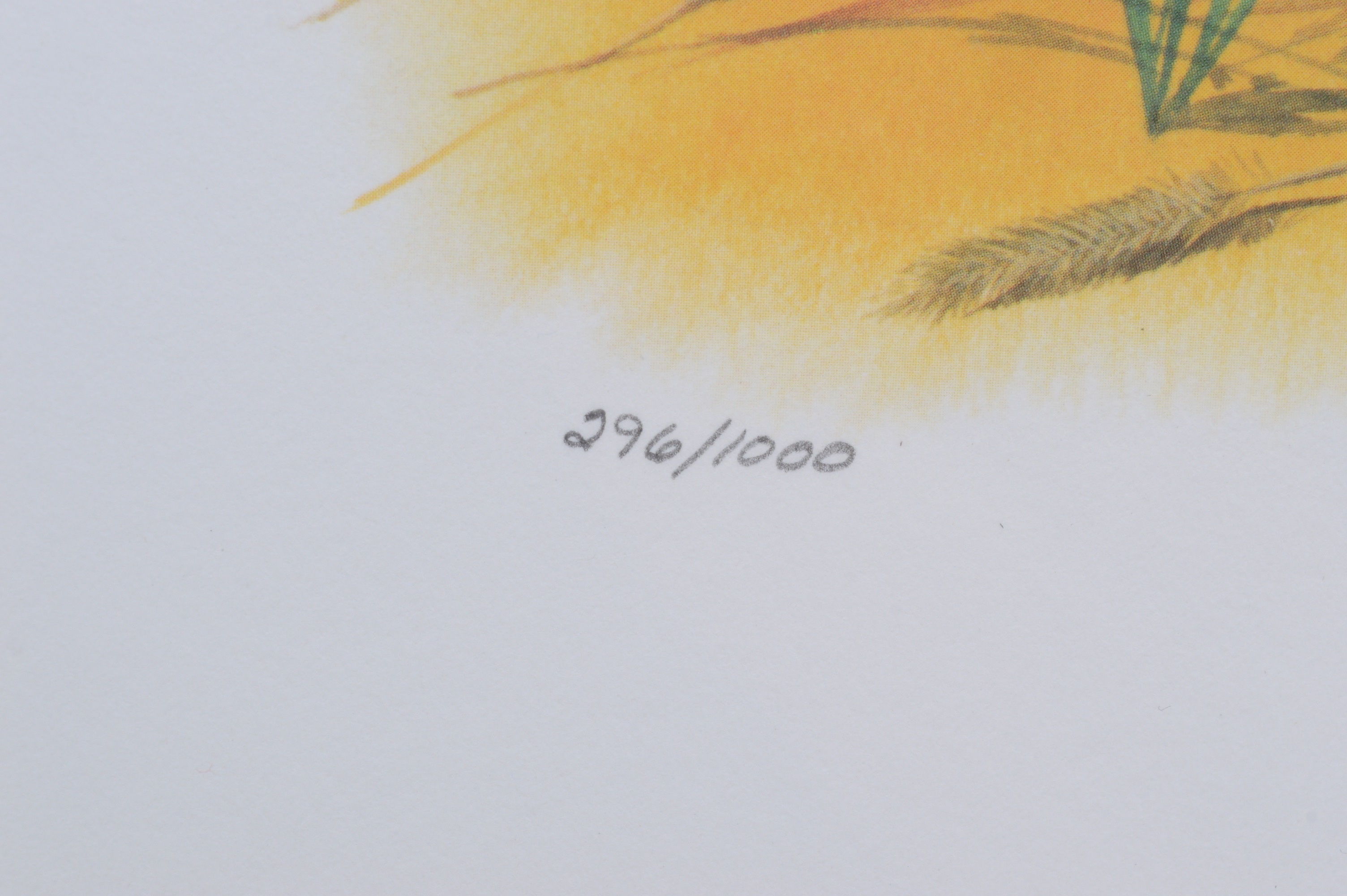 Don Balke Limited Edition Offset Lithograph"Red Fox Pup"