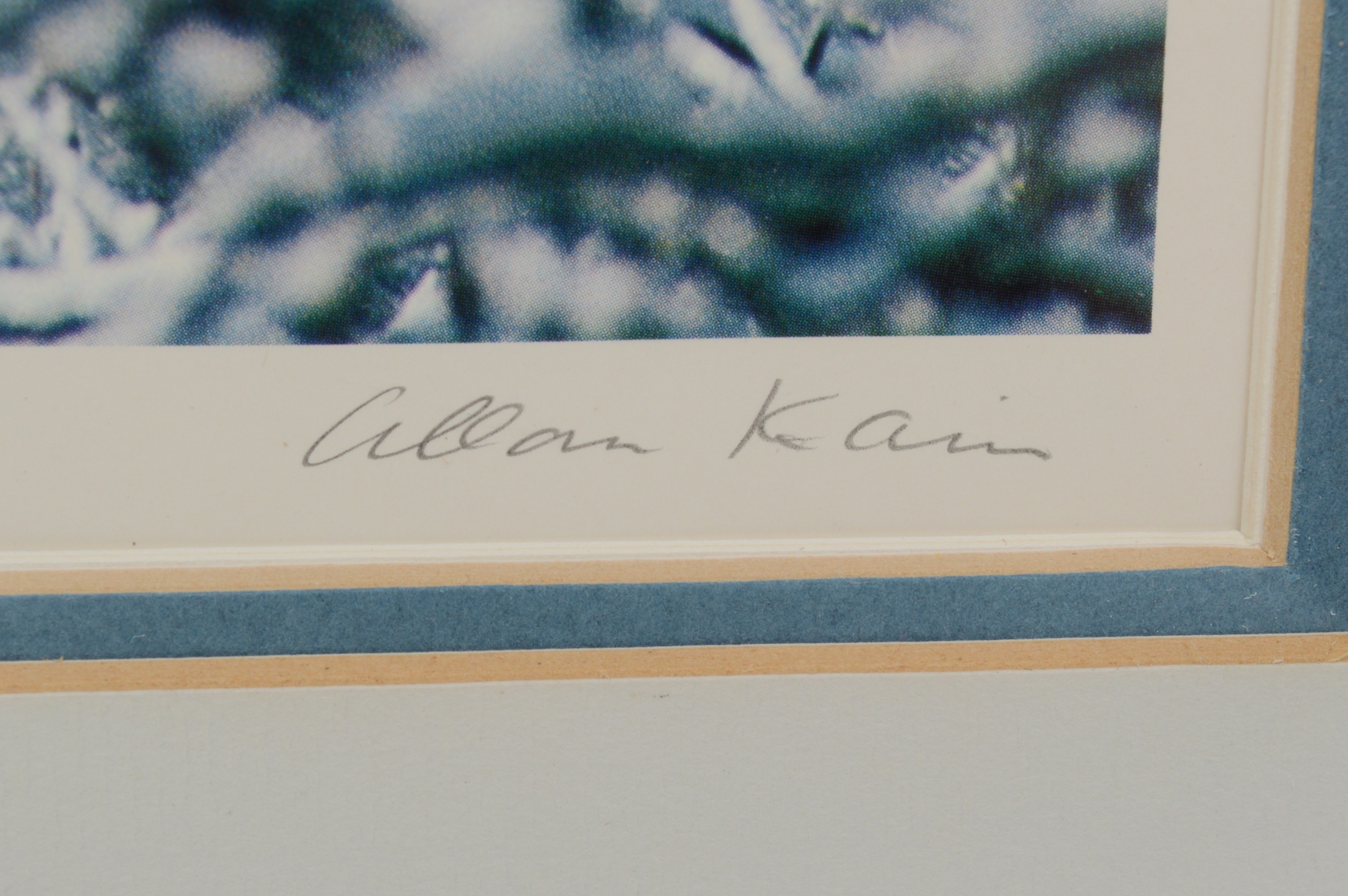 Allan Kain Photograph of Mount Adams