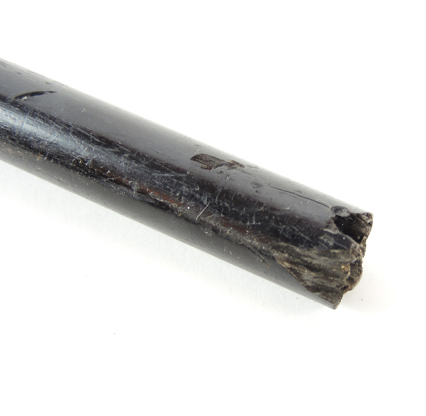 Antique Gold Gilt and Ebony Presentation Walking Cane